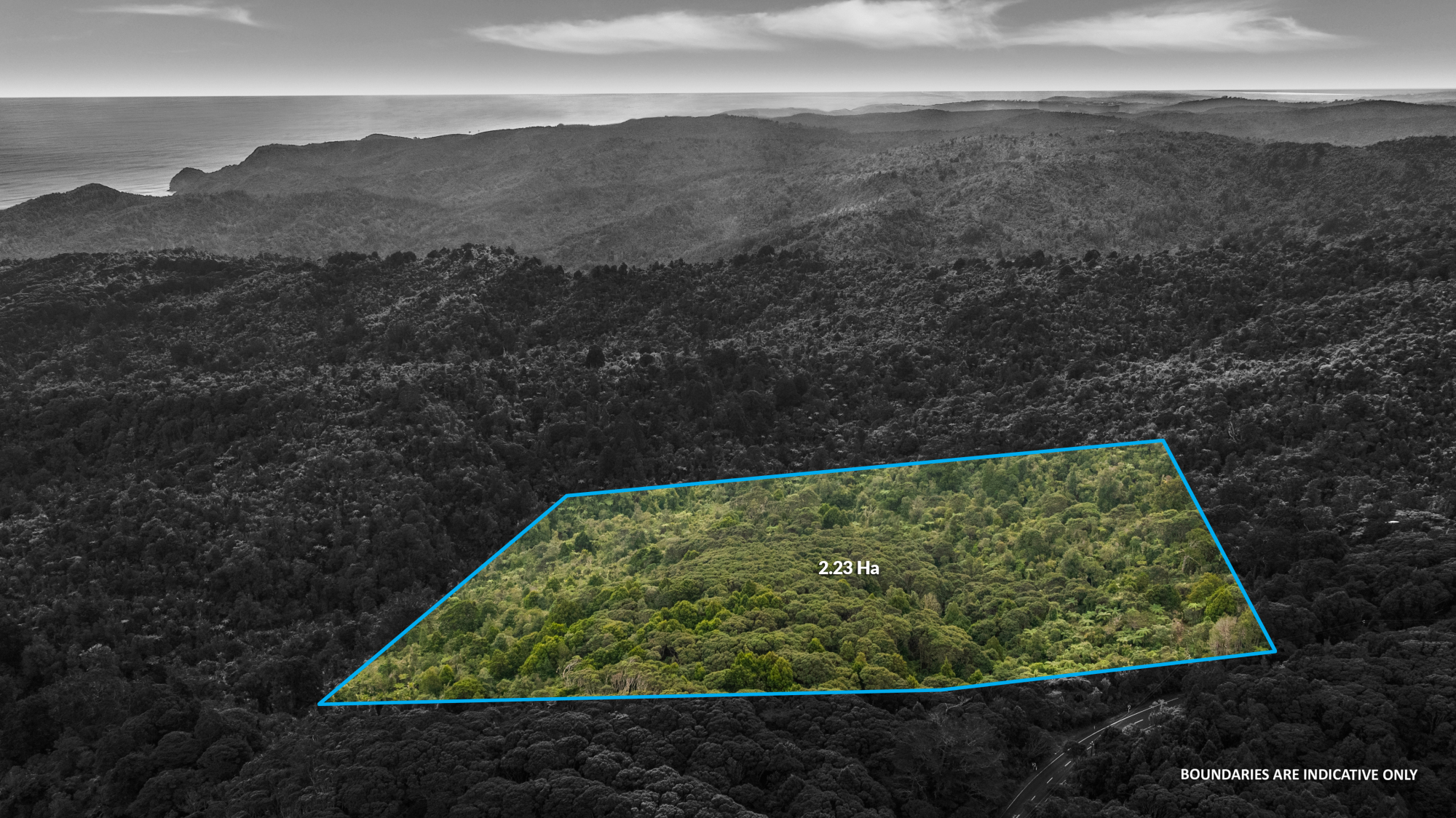 254 Piha Road, Piha