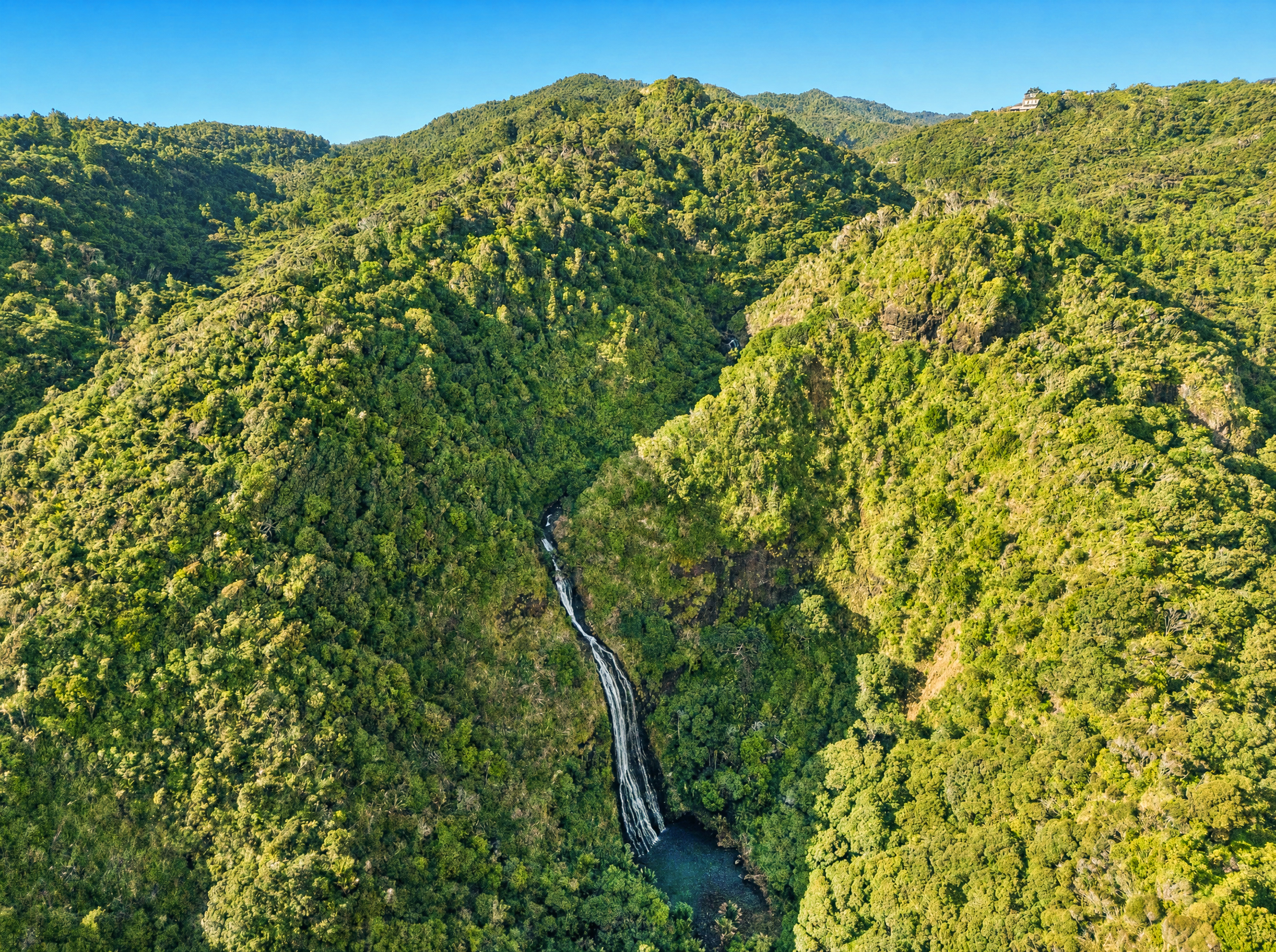 31 Lone Kauri Road, Karekare