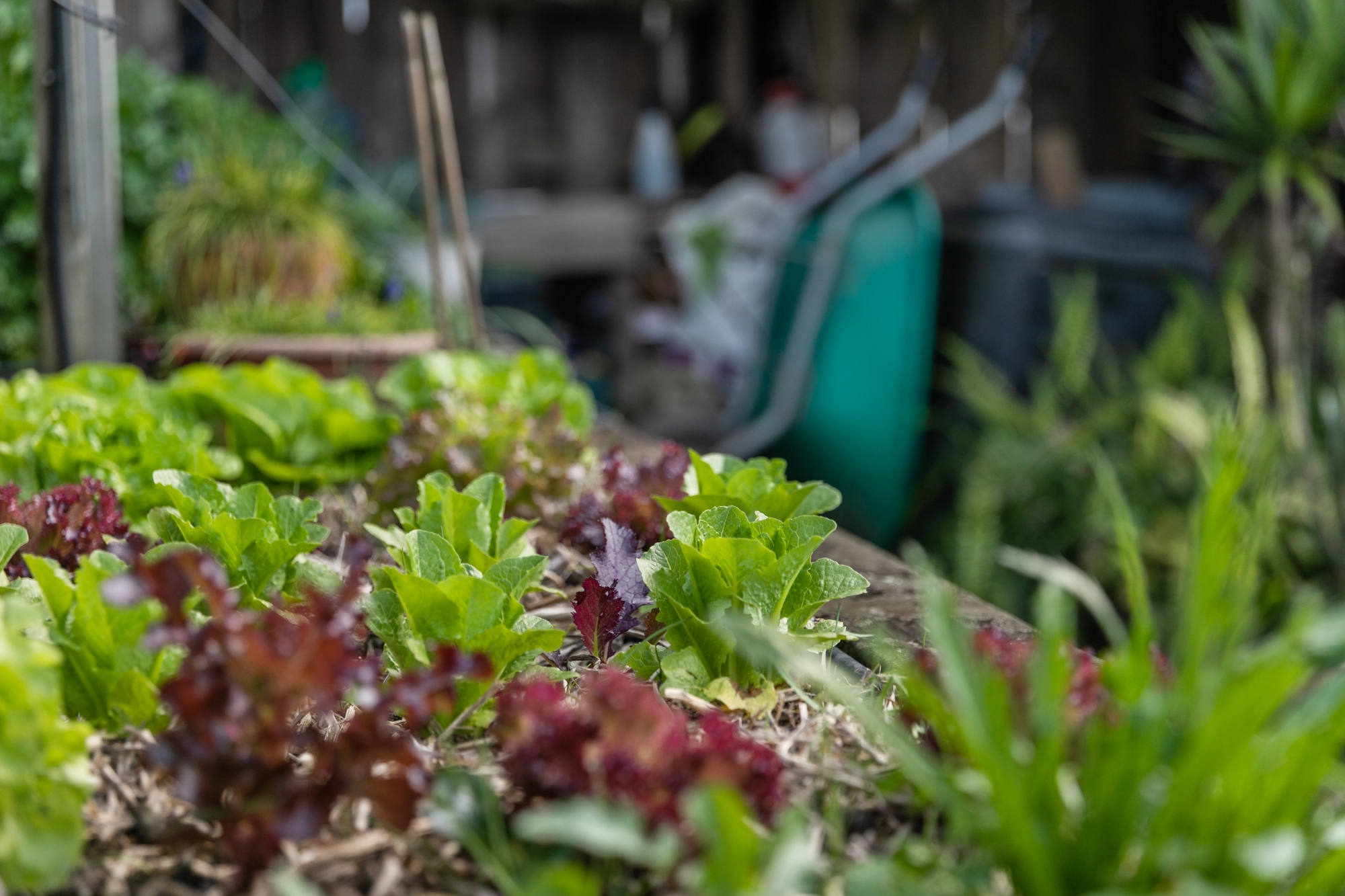 18 Temuri Place, Glendene NZ