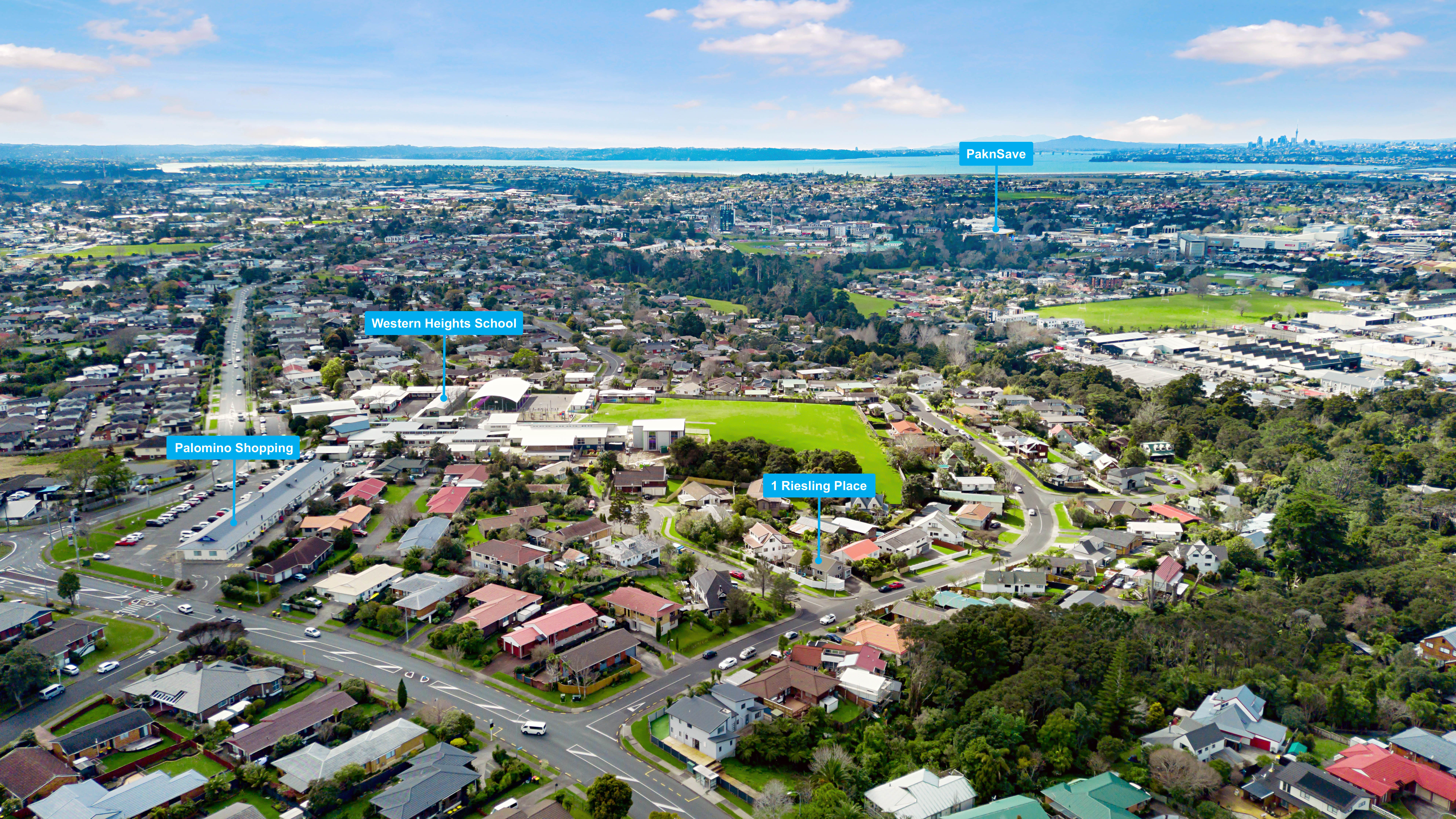 1 Riesling Place, Henderson Heights