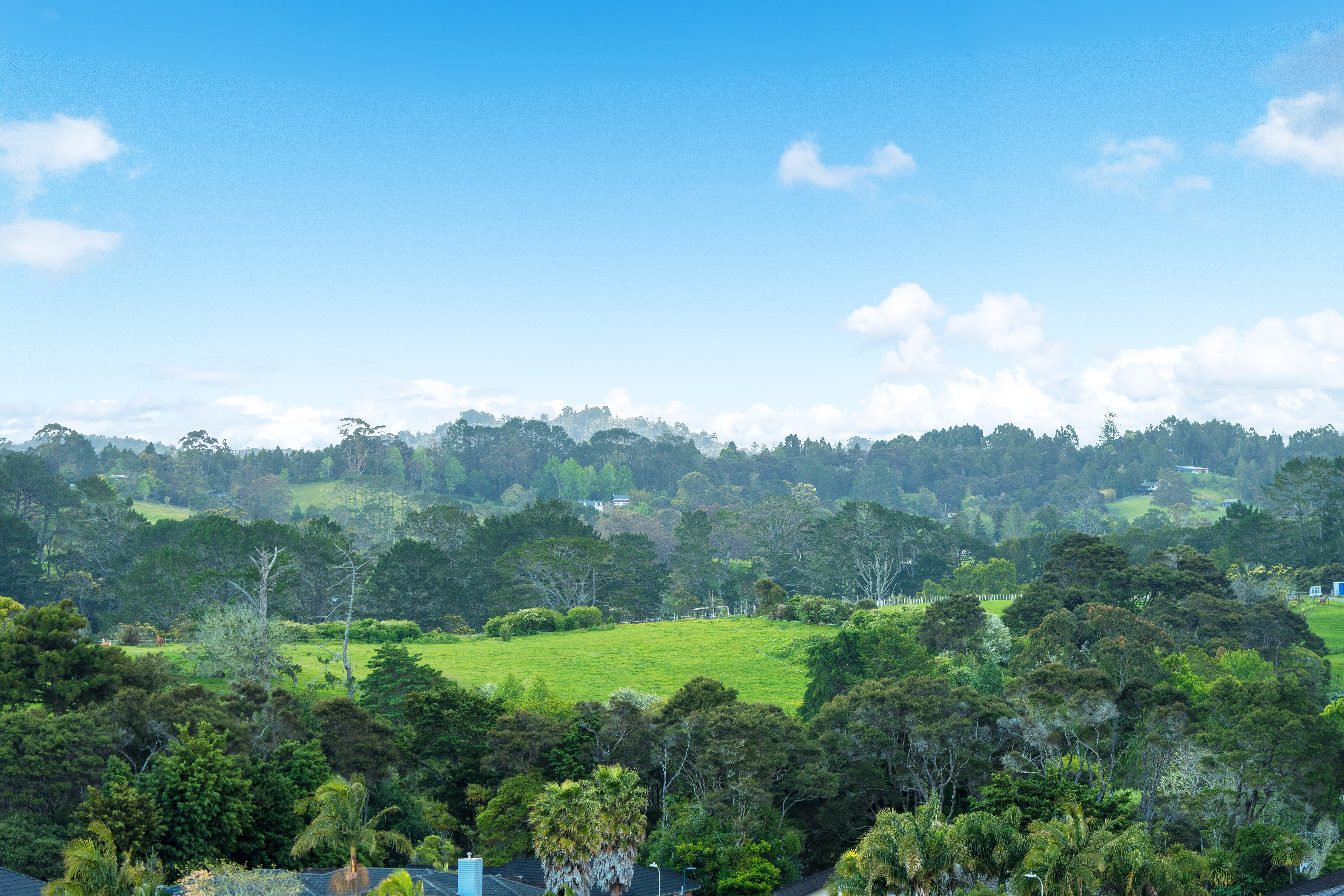 10 Finsbury Place, Henderson Heights