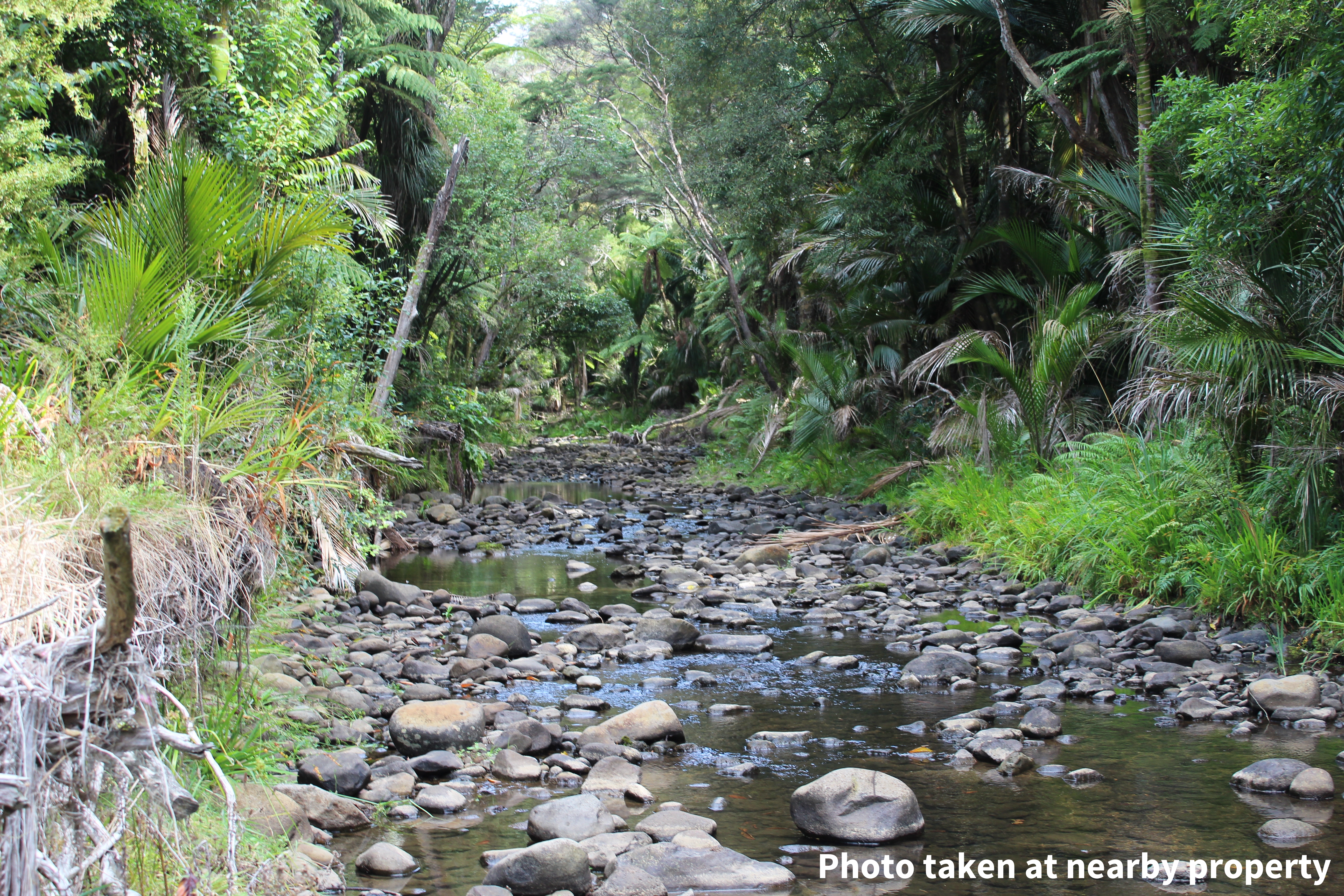 411a Henderson Valley Road, Henderson Valley