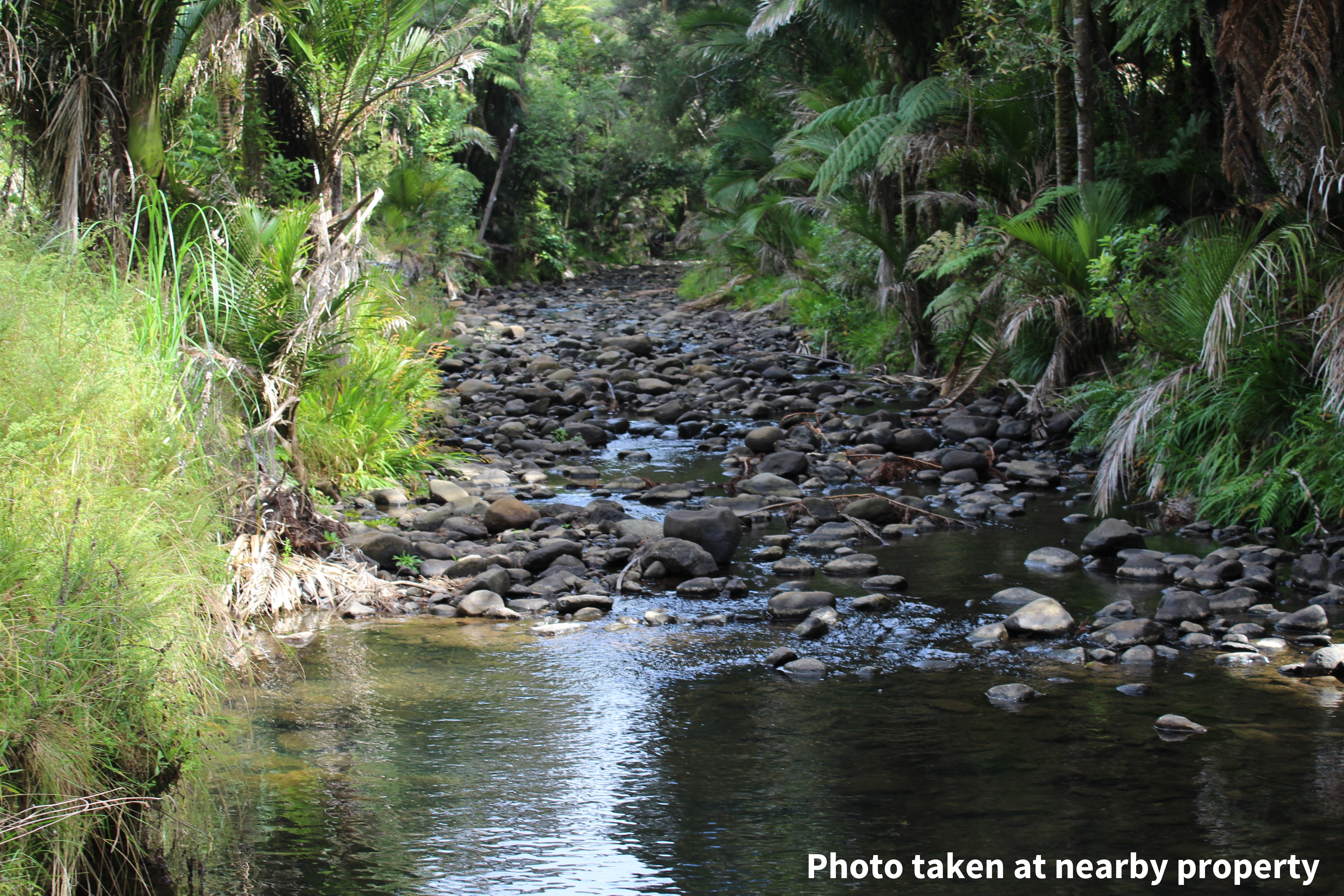 411a Henderson Valley Road, Henderson Valley