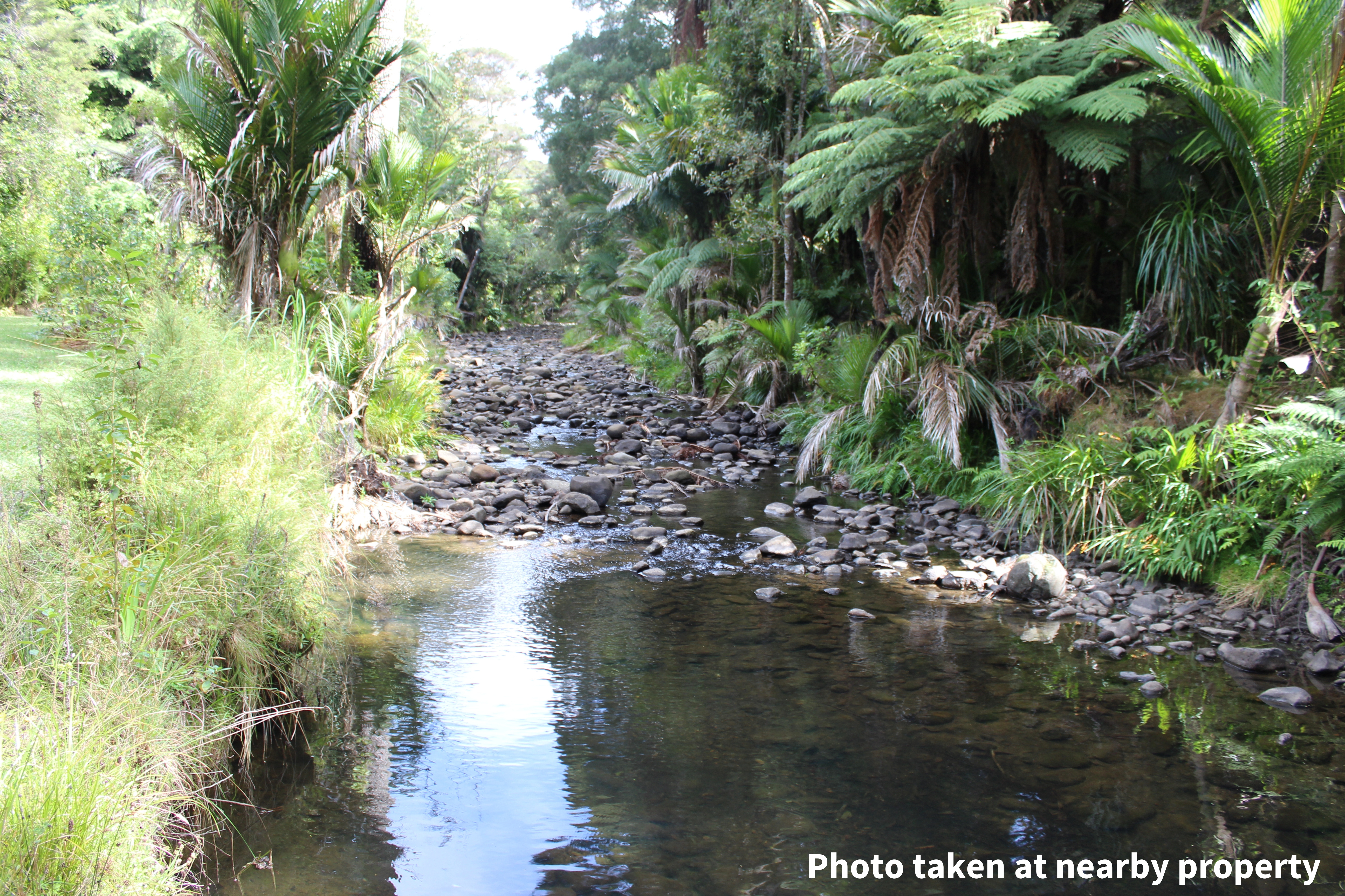 411a Henderson Valley Road, Henderson Valley