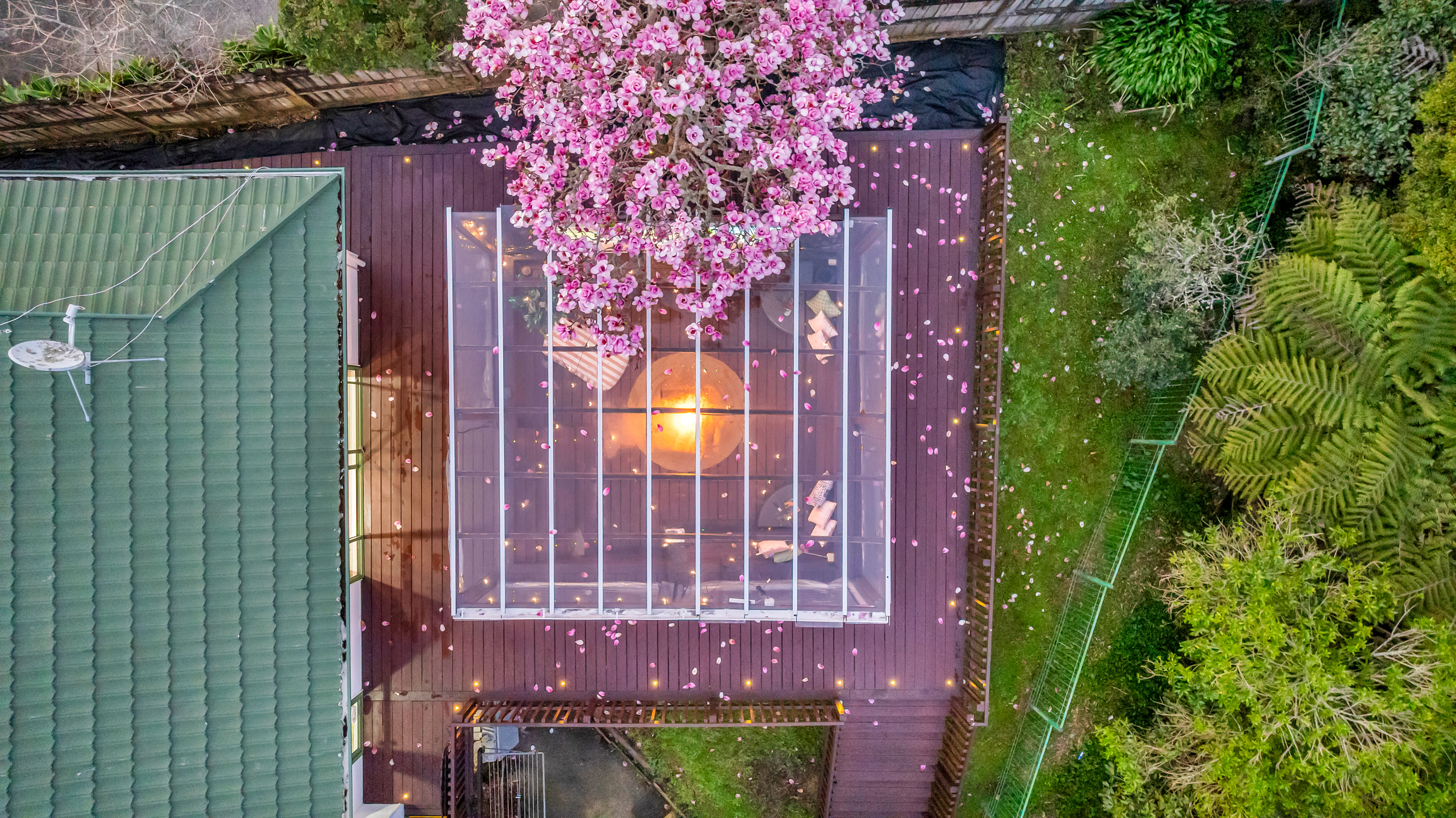56 Palomino Drive, Henderson