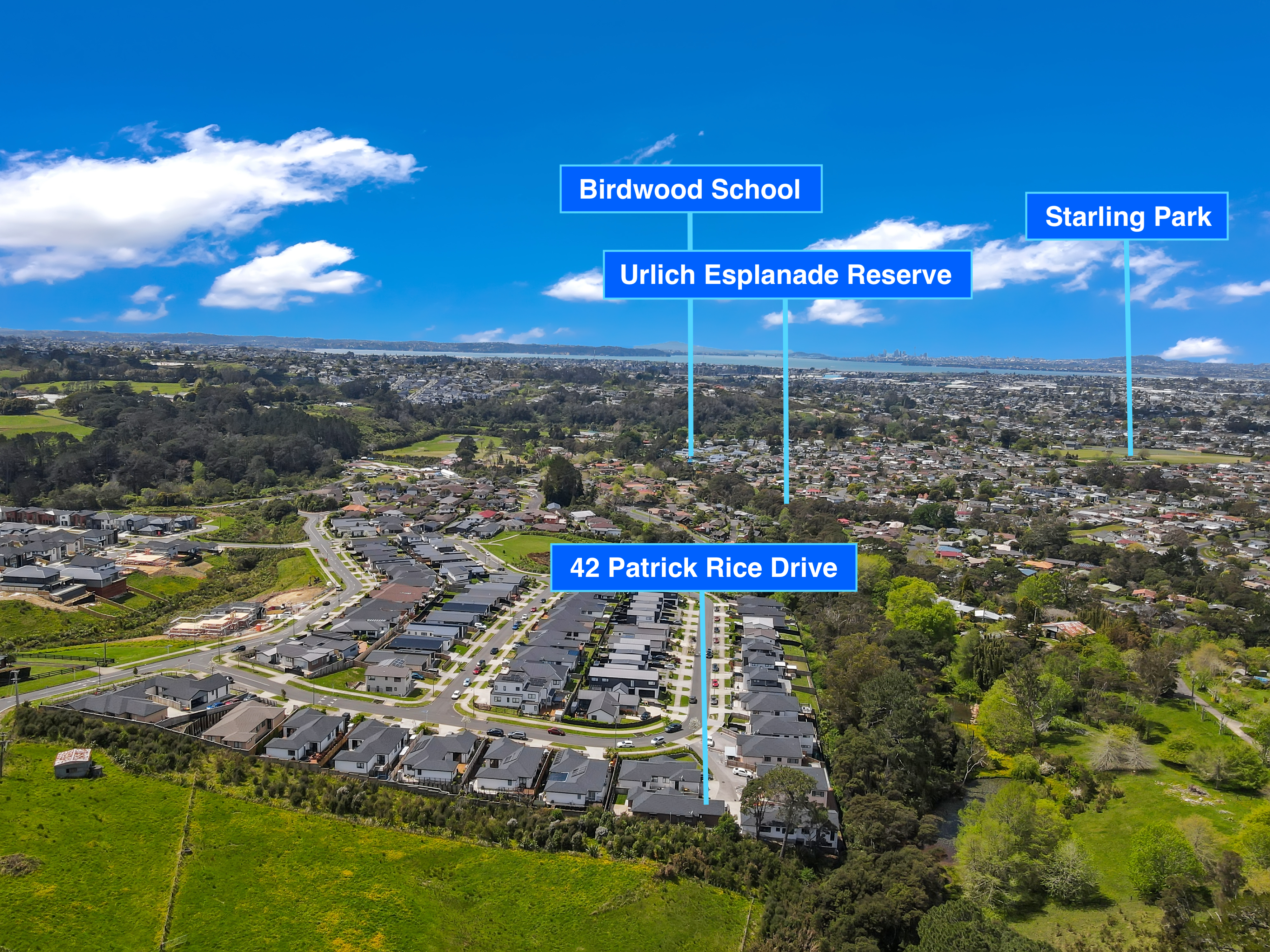 42 Patrick Rice Drive, Swanson NZ