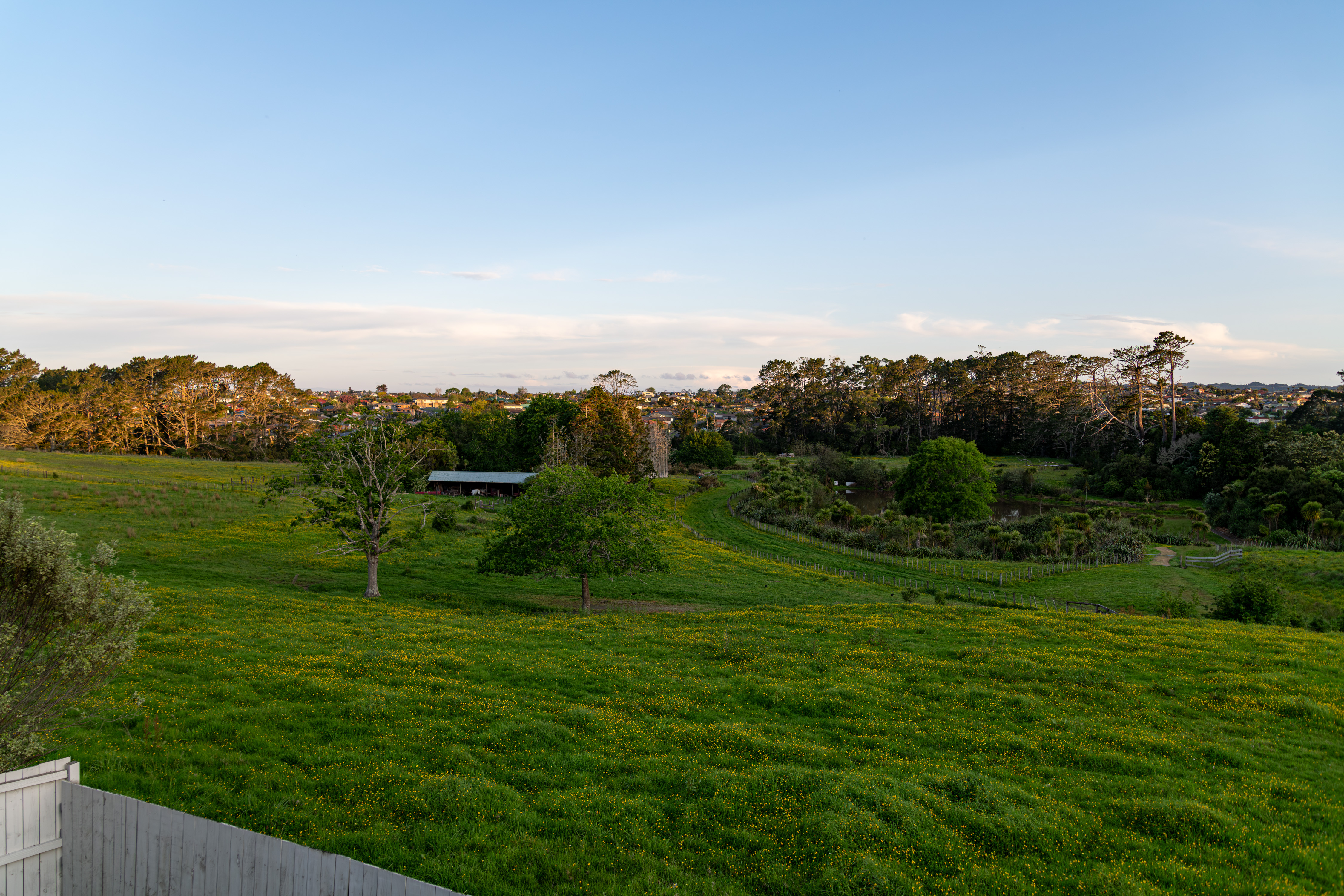 20 Irongate Avenue, Ranui NZ