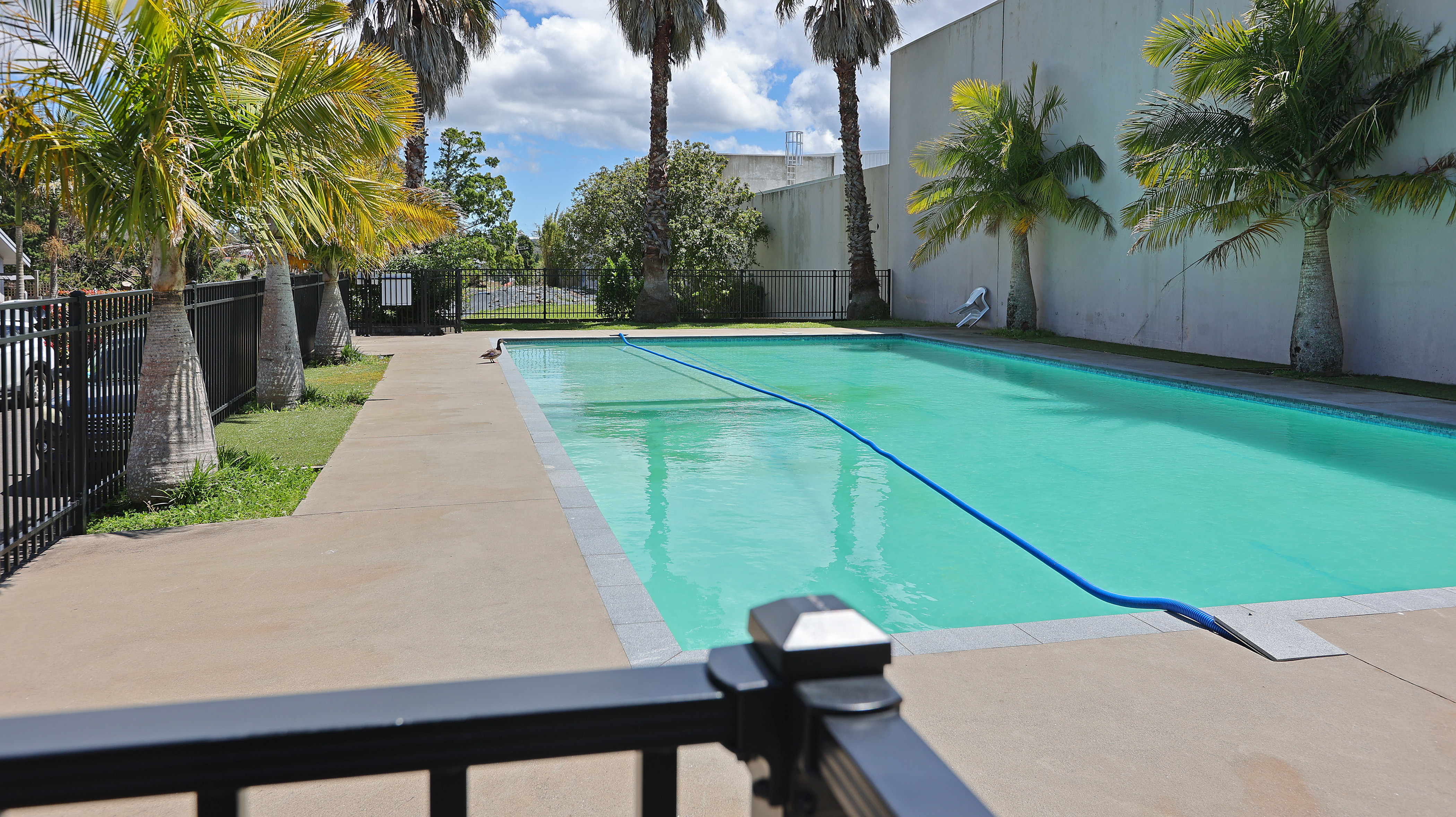 11a/30 Westward Ho, Glen Eden