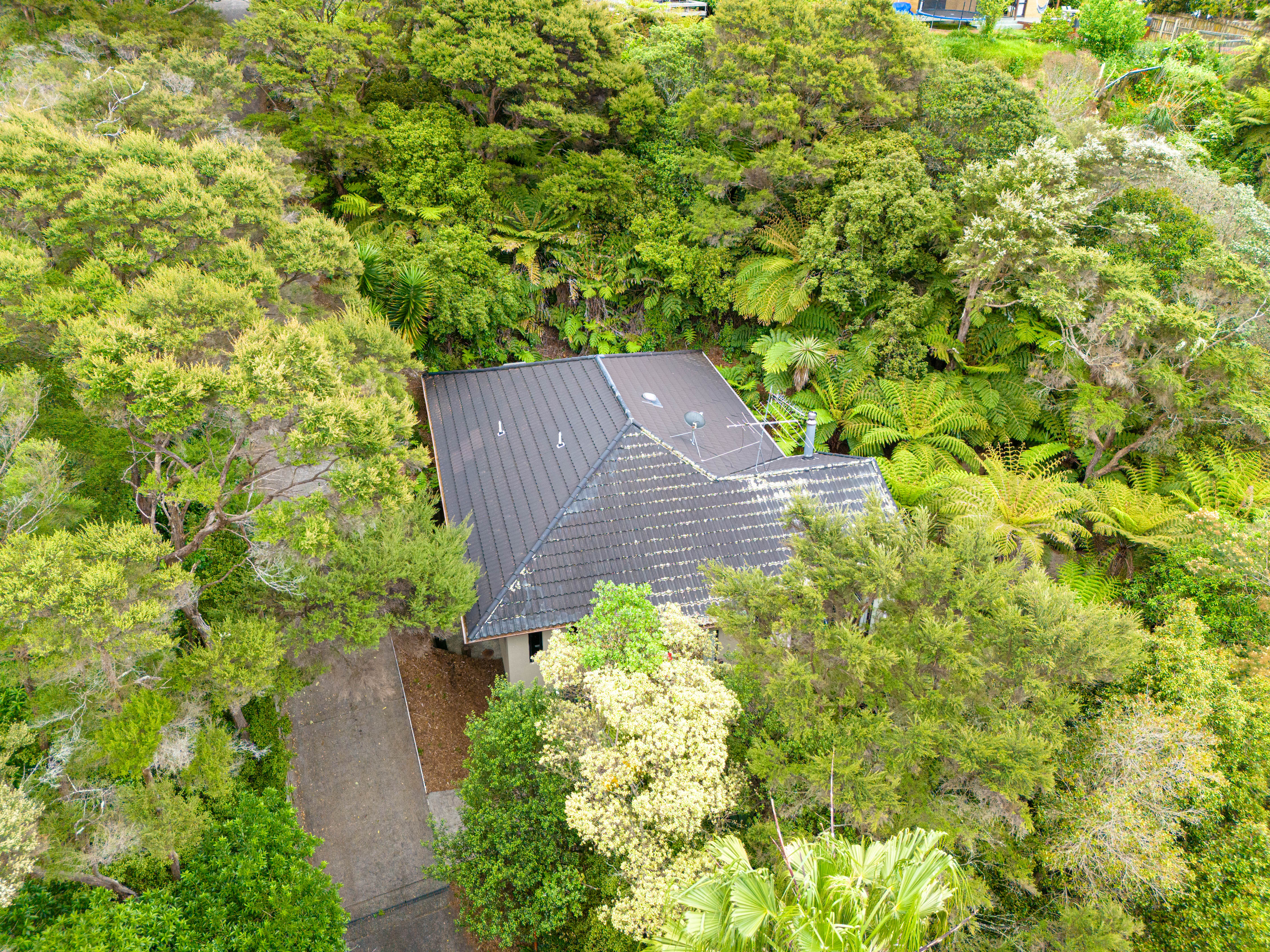 147b Colwill Road, Massey NZ