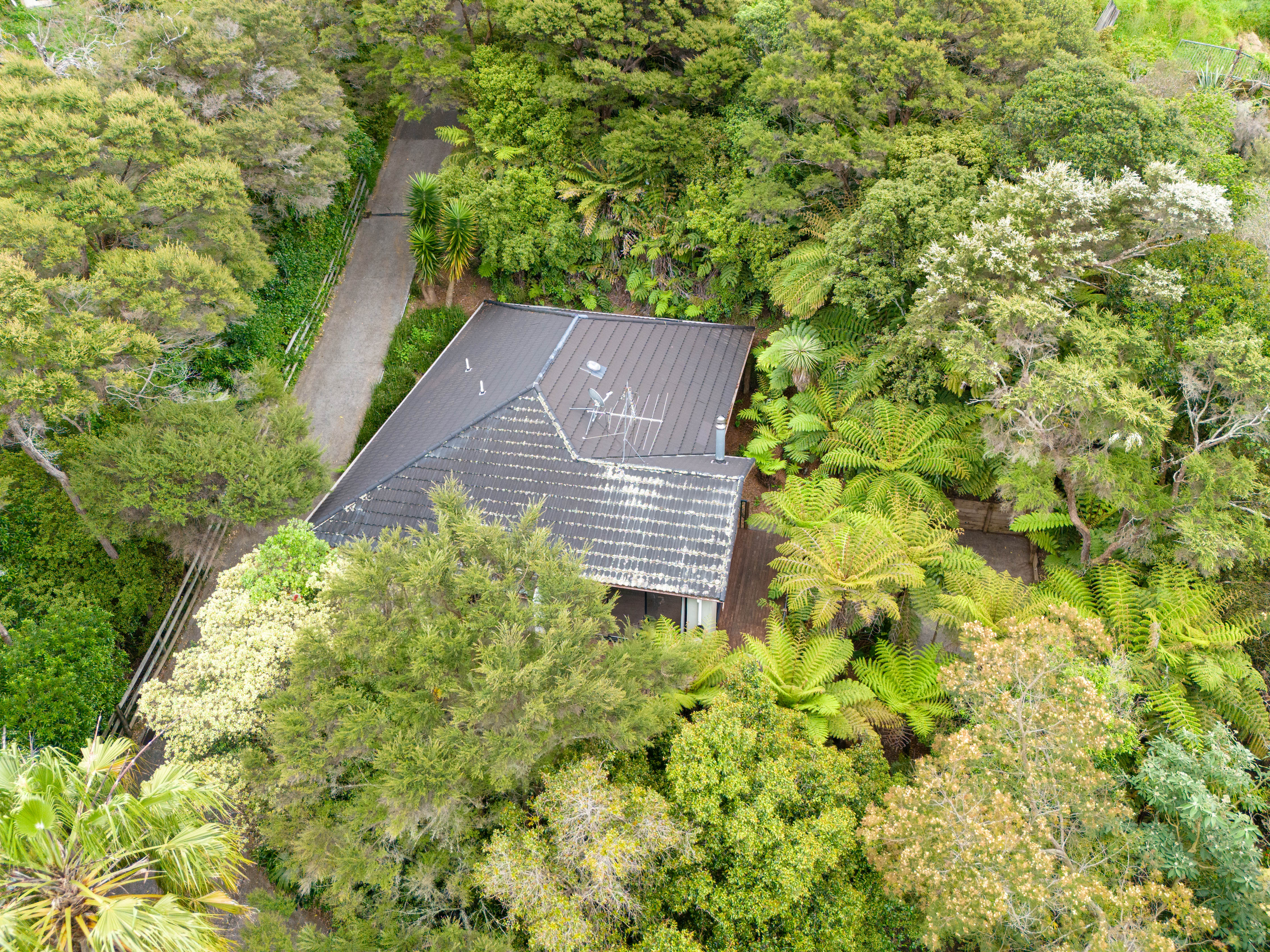 147b Colwill Road, Massey NZ