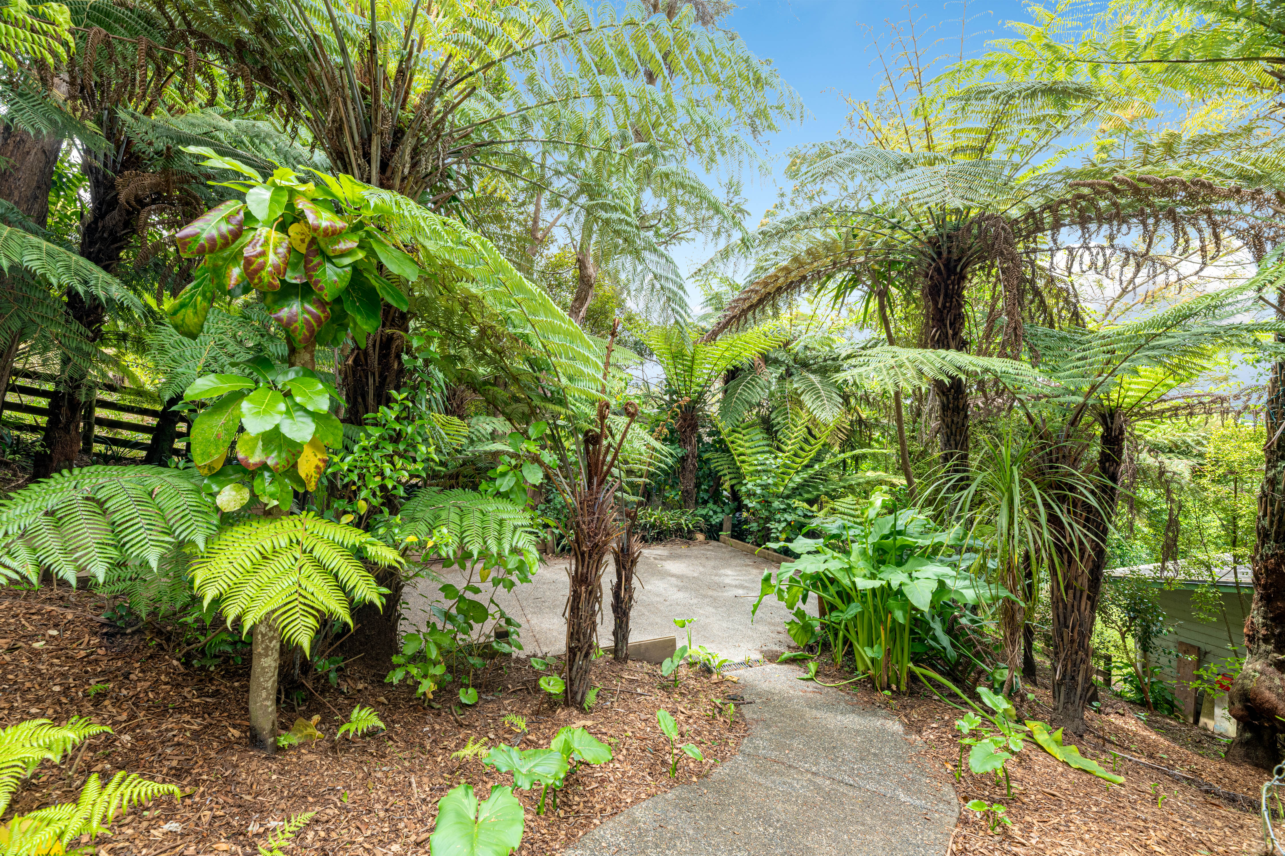 147b Colwill Road, Massey NZ