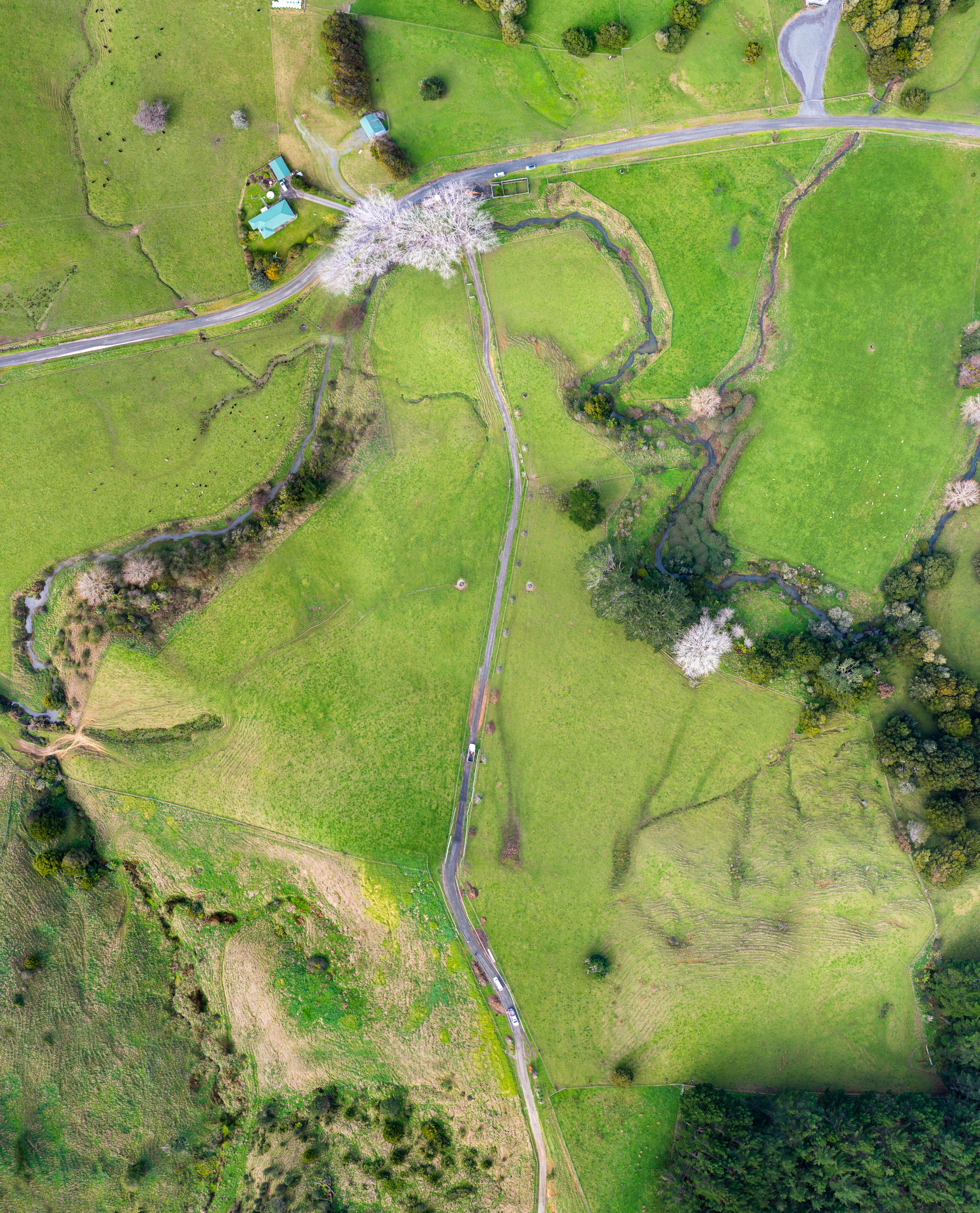 444 Komokoriki Hill Road, Makarau