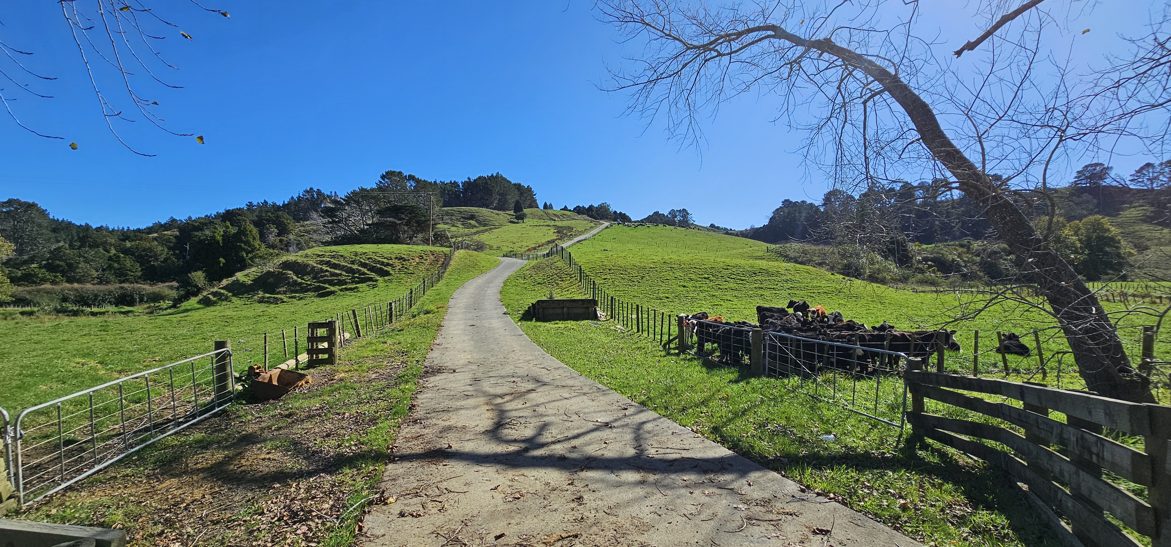 450 Komokoriki Hill Road, Makarau