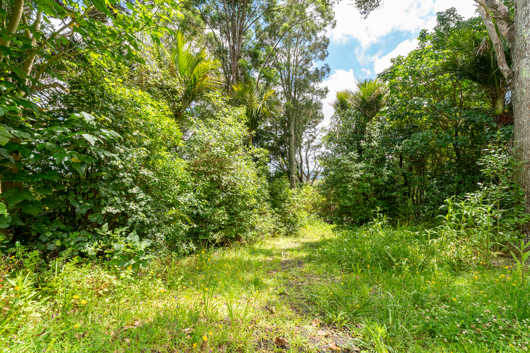 281 School Road, Waimauku