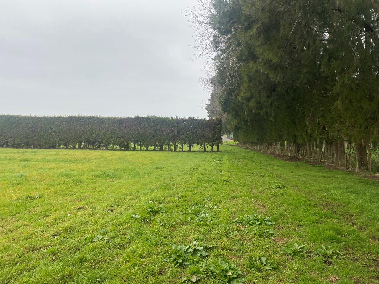 42 Taupaki Road, Taupaki