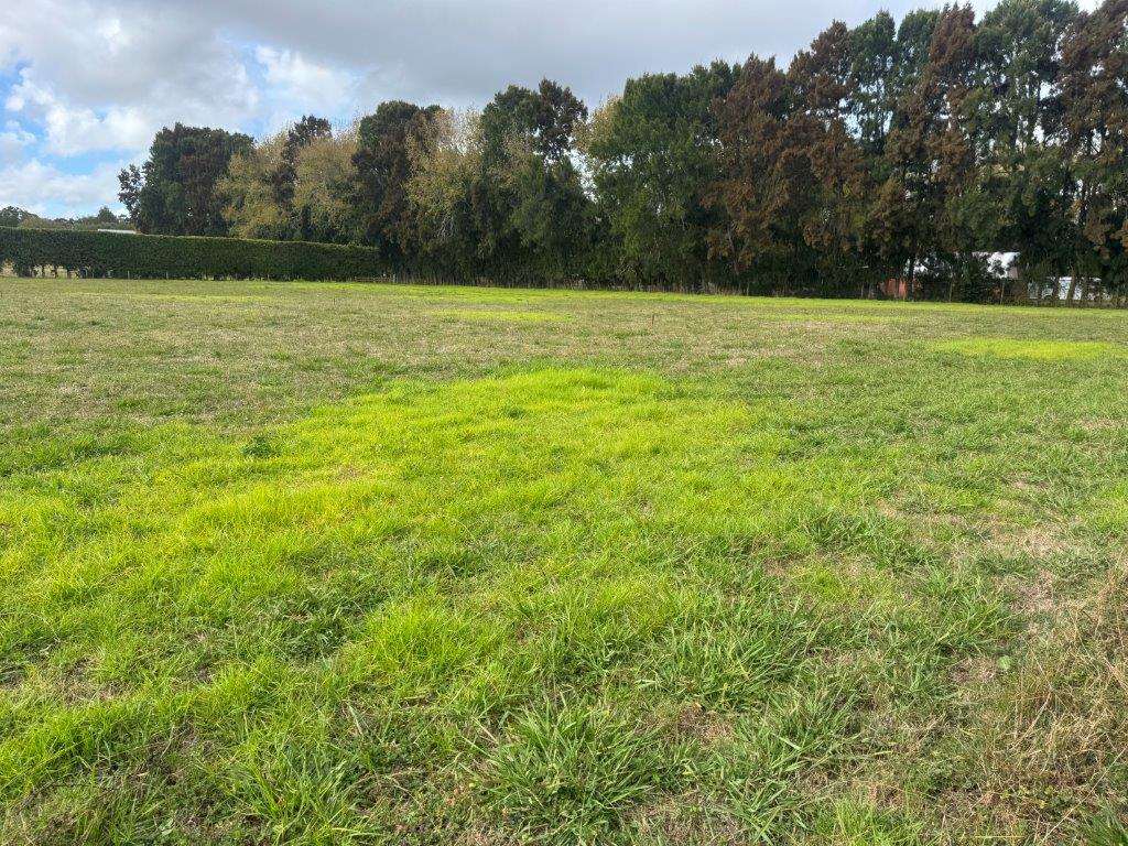 42 Taupaki Road, Taupaki