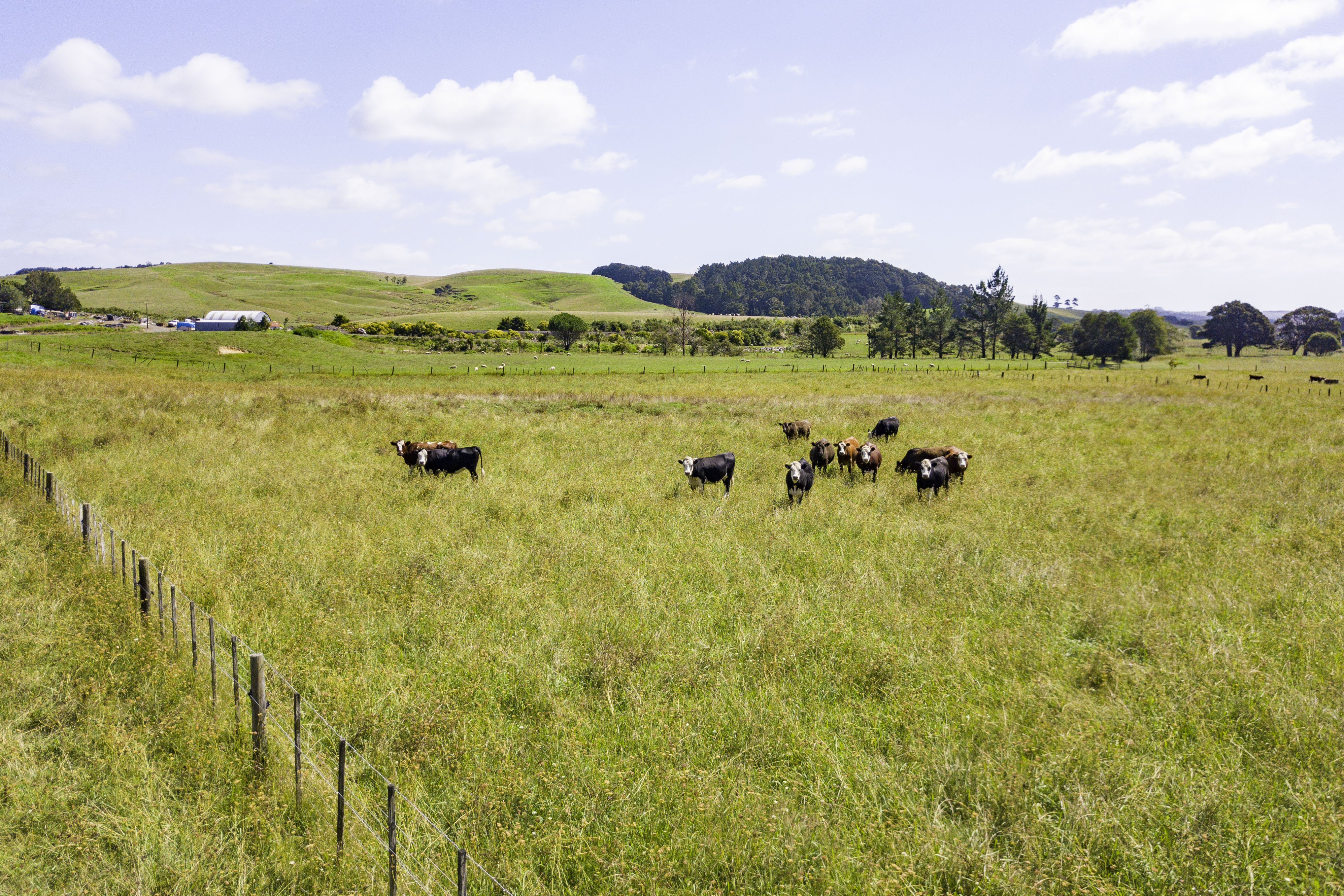 35 & 35A Cane Road, Waimauku