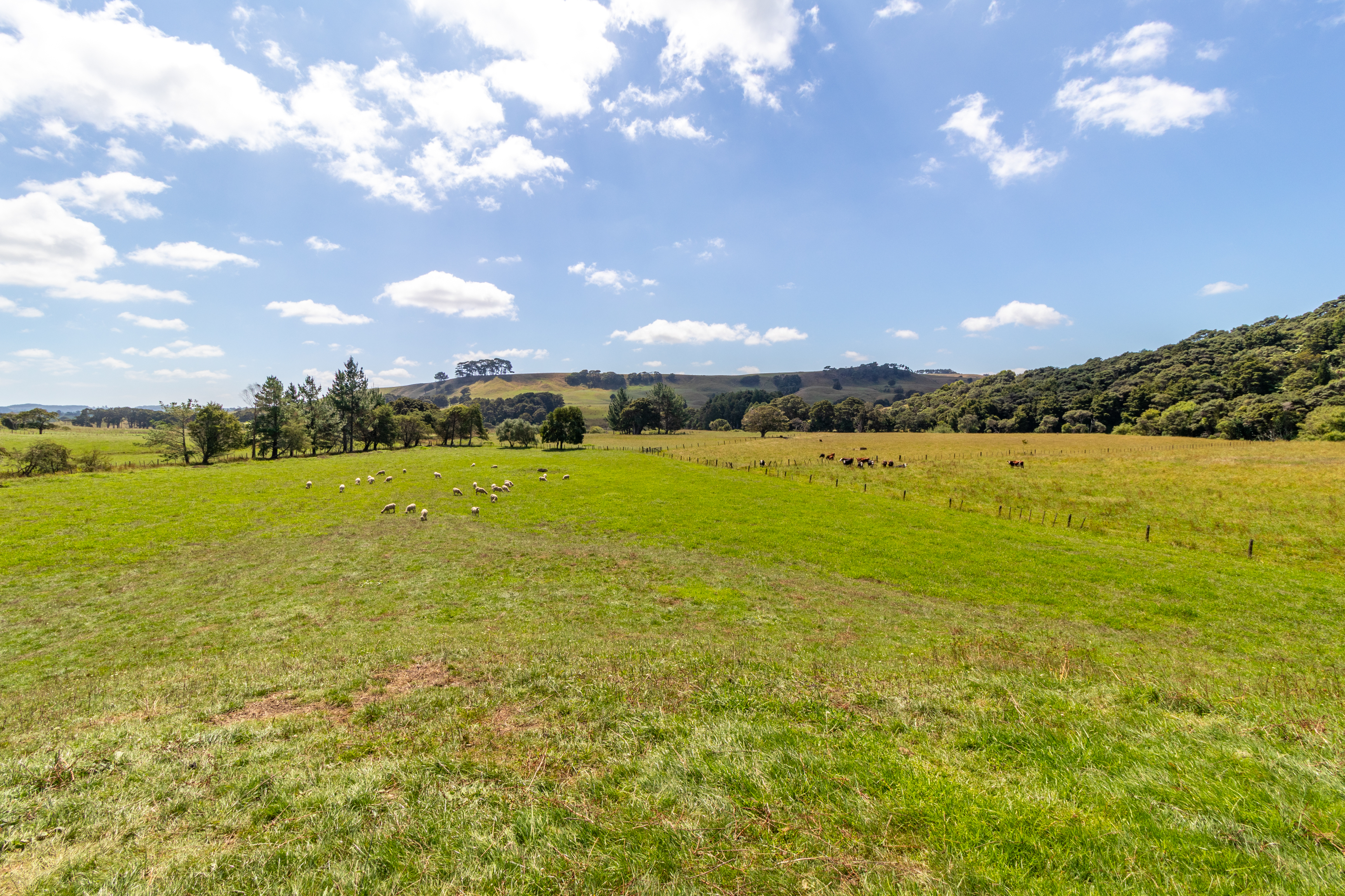 35 & 35A Cane Road, Waimauku