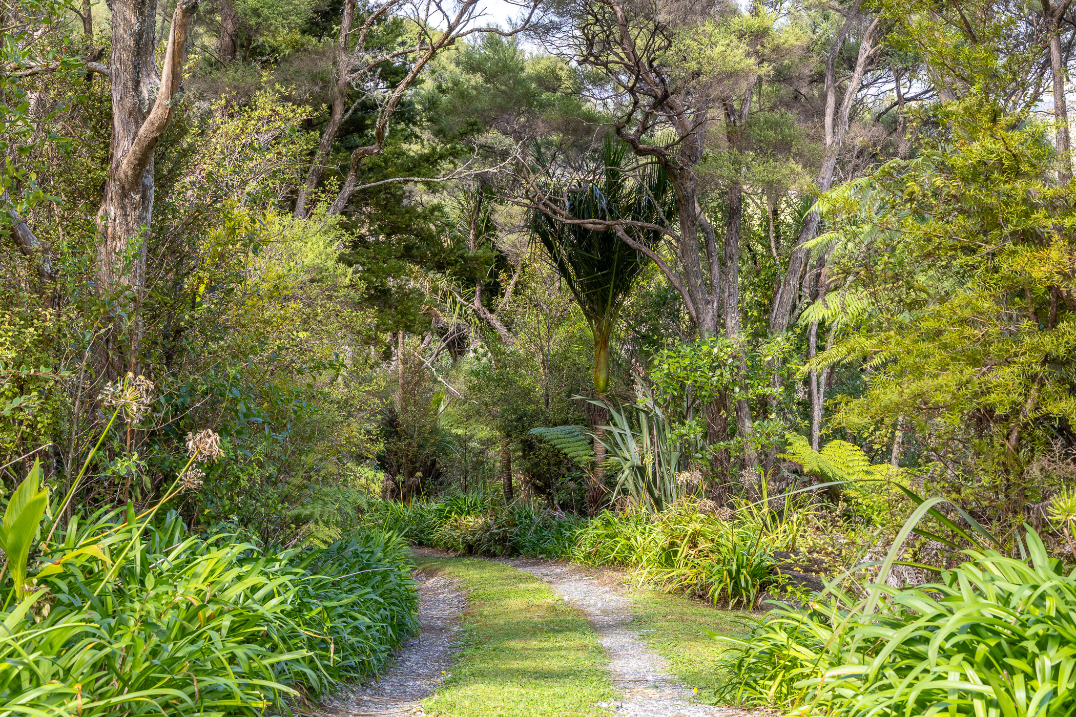 17 Matatea Road, Waimauku