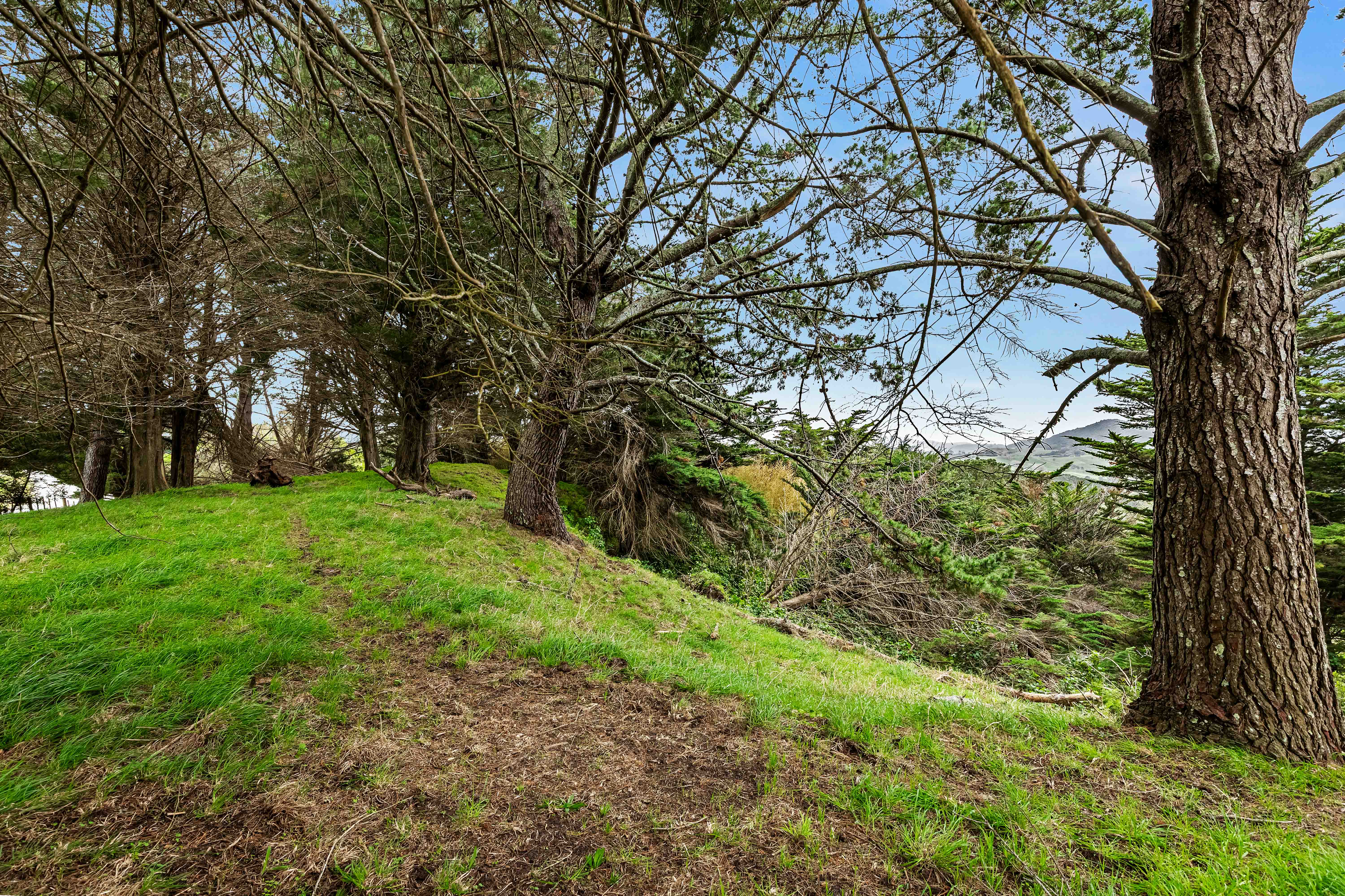 0 Whaka Street, Maungaturoto