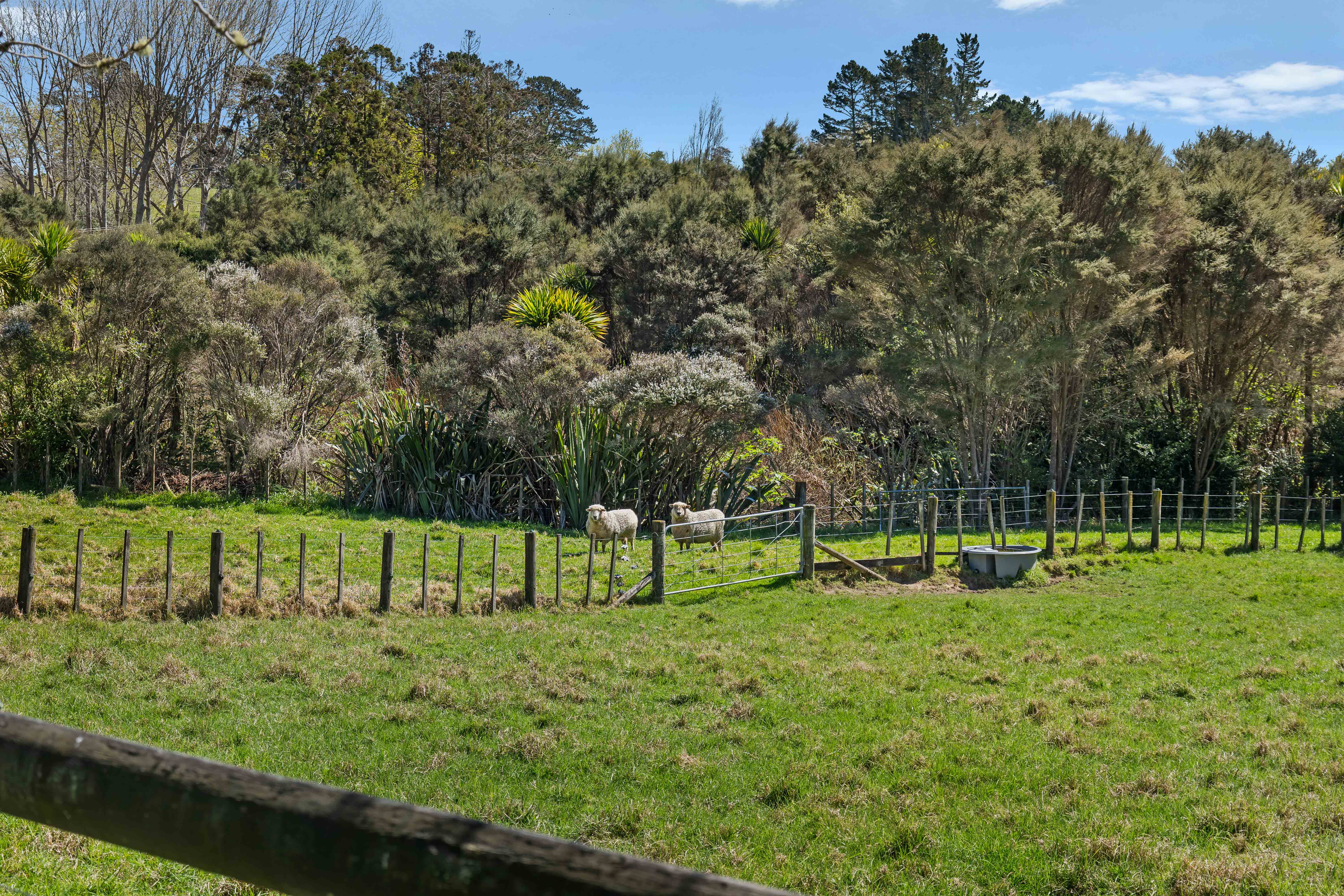 37 Pomona Road, Kumeu