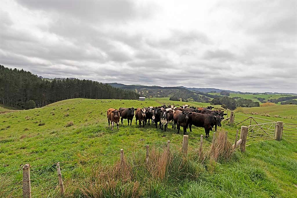 452 Komokoriki Hill Road, Makarau