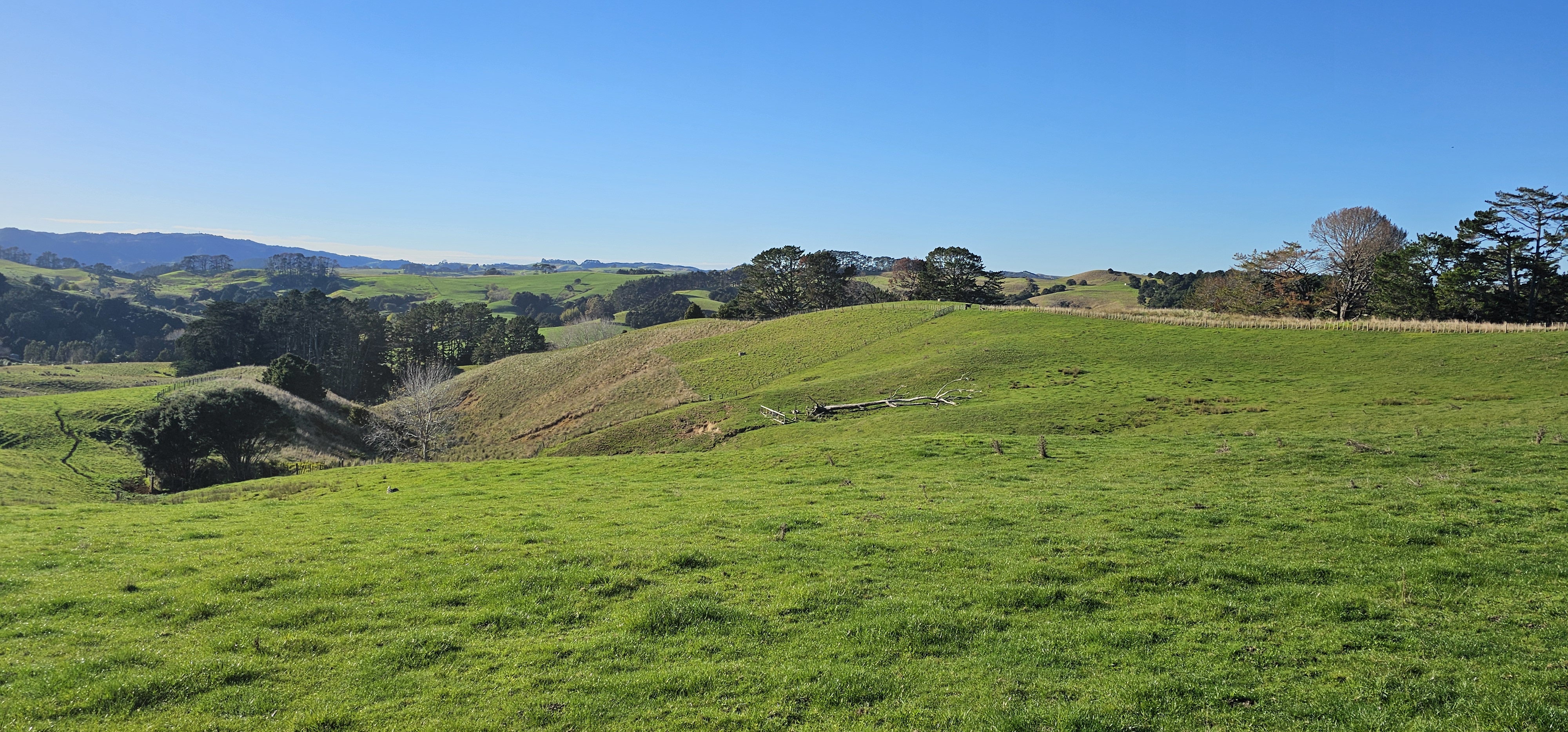 452 Komokoriki Hill Road, Makarau