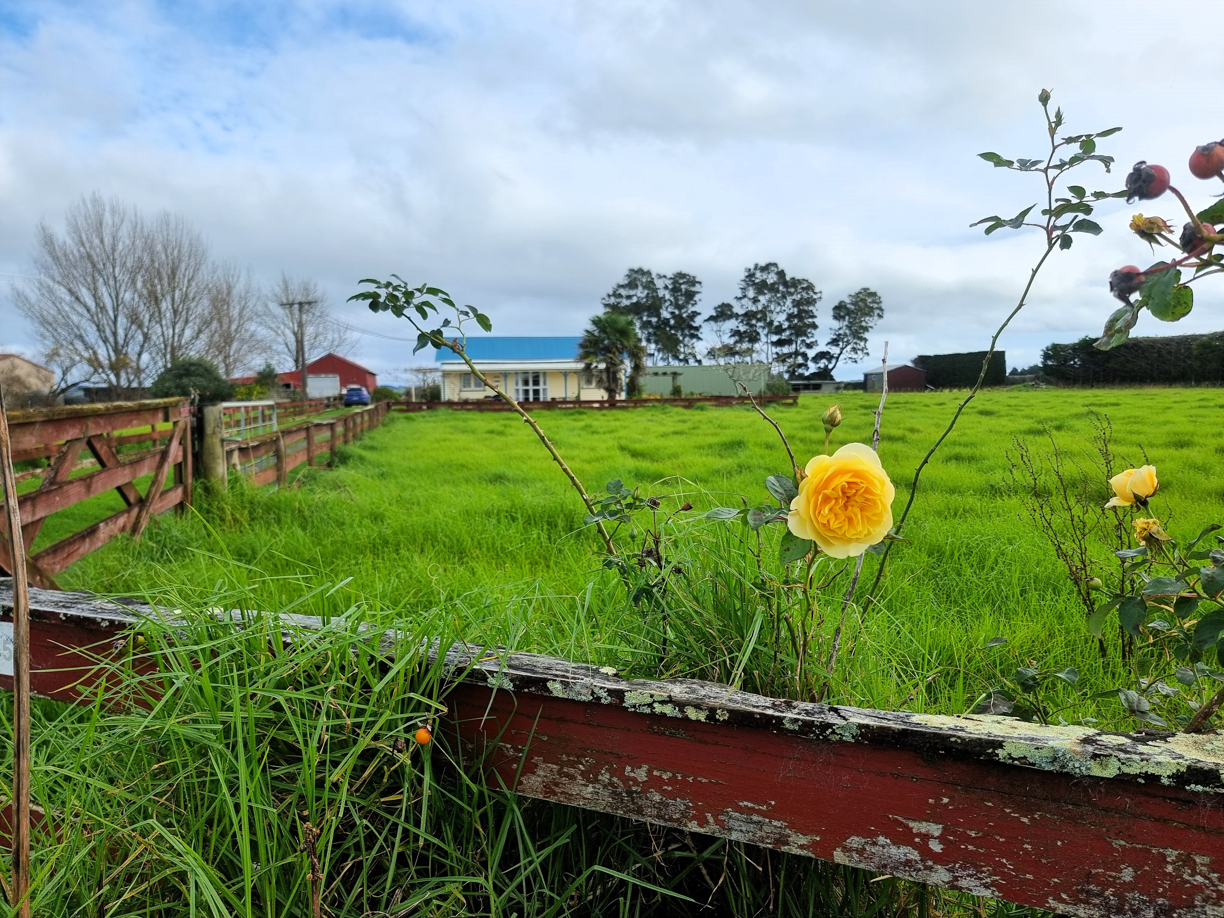 6453 State Highway 12, Dargaville