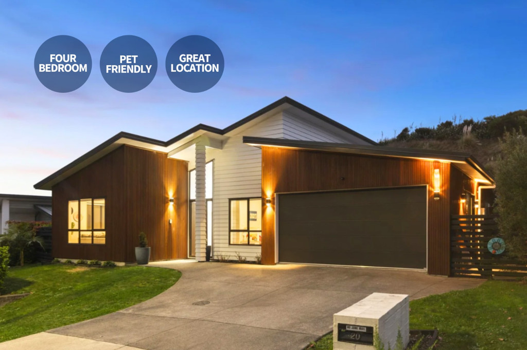 20 Knoll Rise, Pukekohe