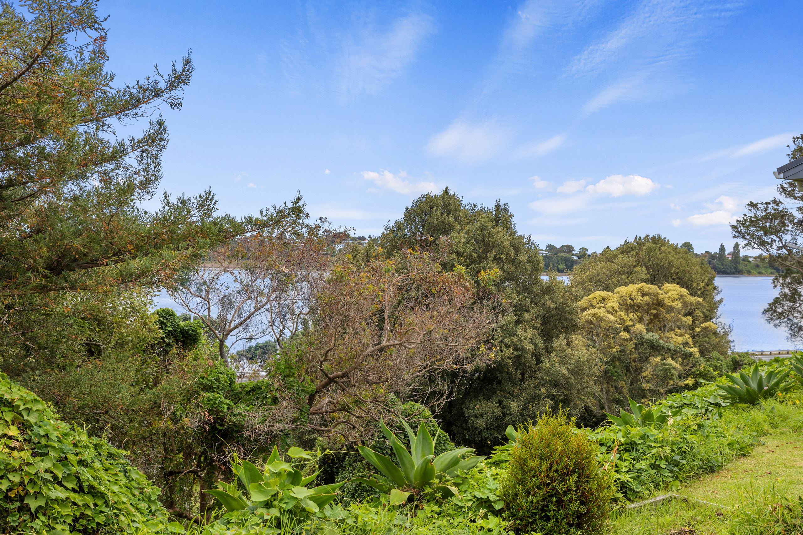 2/14 Williams Street, Tauranga Central