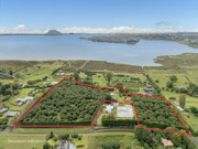 Options on Oikimoke, Te Puna