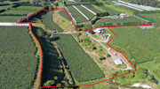 Exceptional orchard opportunity