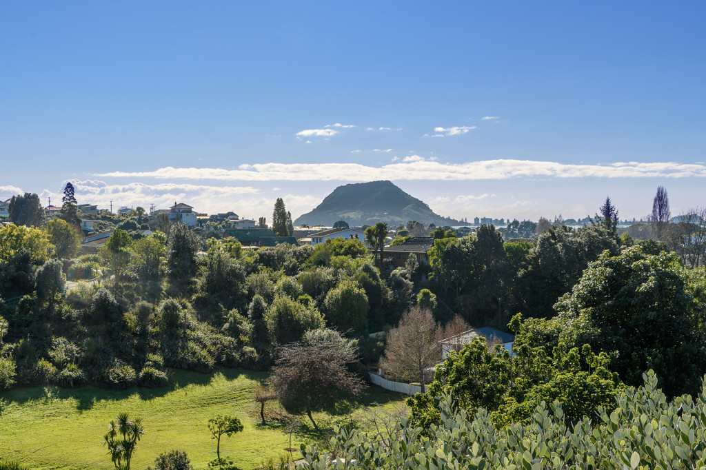 48 Hillcrest Road, Otumoetai