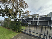 93 Concord Avenue Mount Maunganui