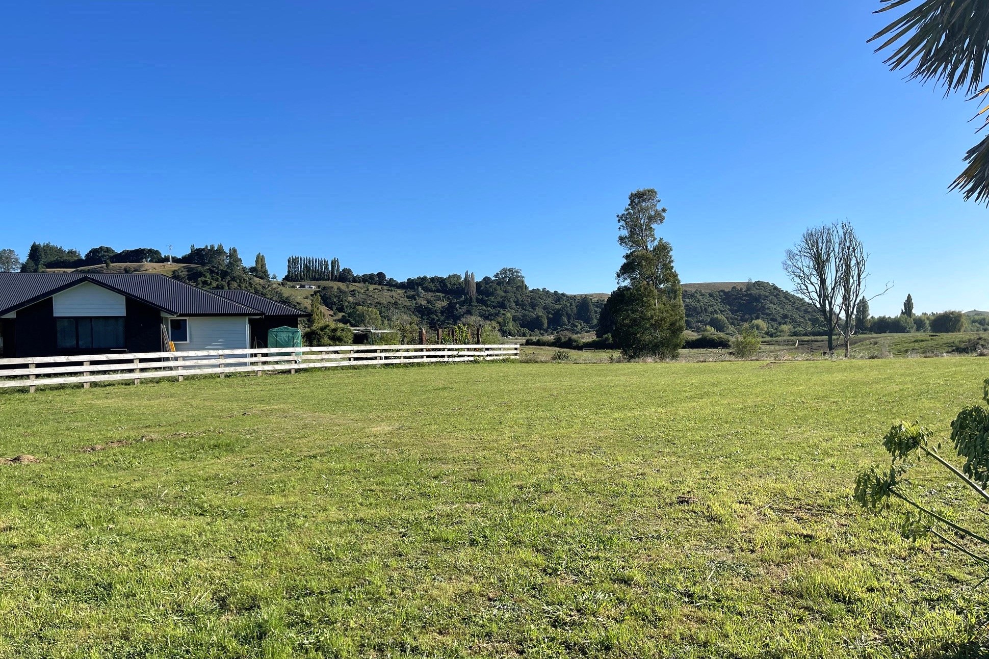 An Easy Site Harcourts Blue Ribbon