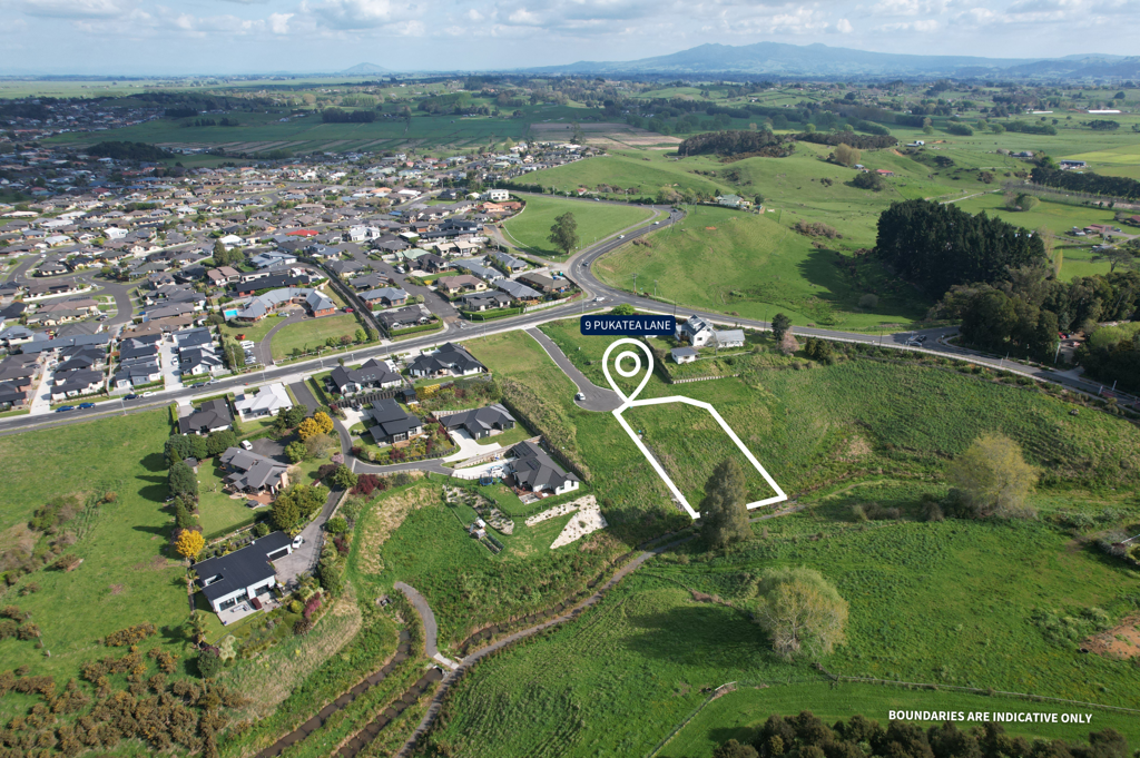 9 Pukatea Lane, Grandview Heights