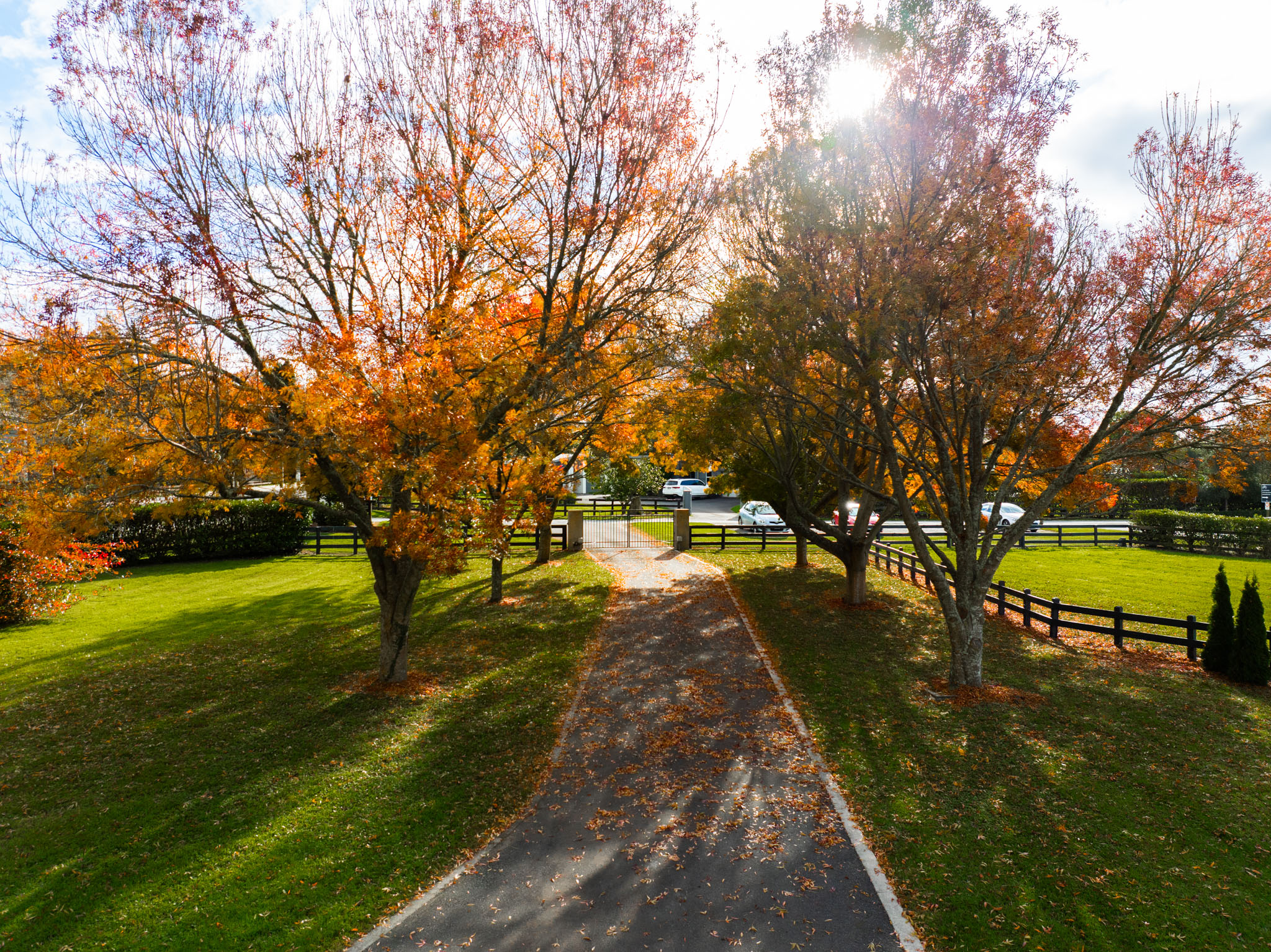 337B Newell Road, Tamahere Property For Sale Harcourts Hamilton