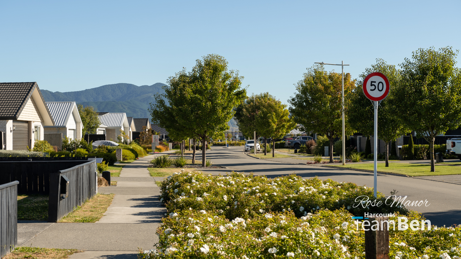 Springlands Buy The Neighbourhood