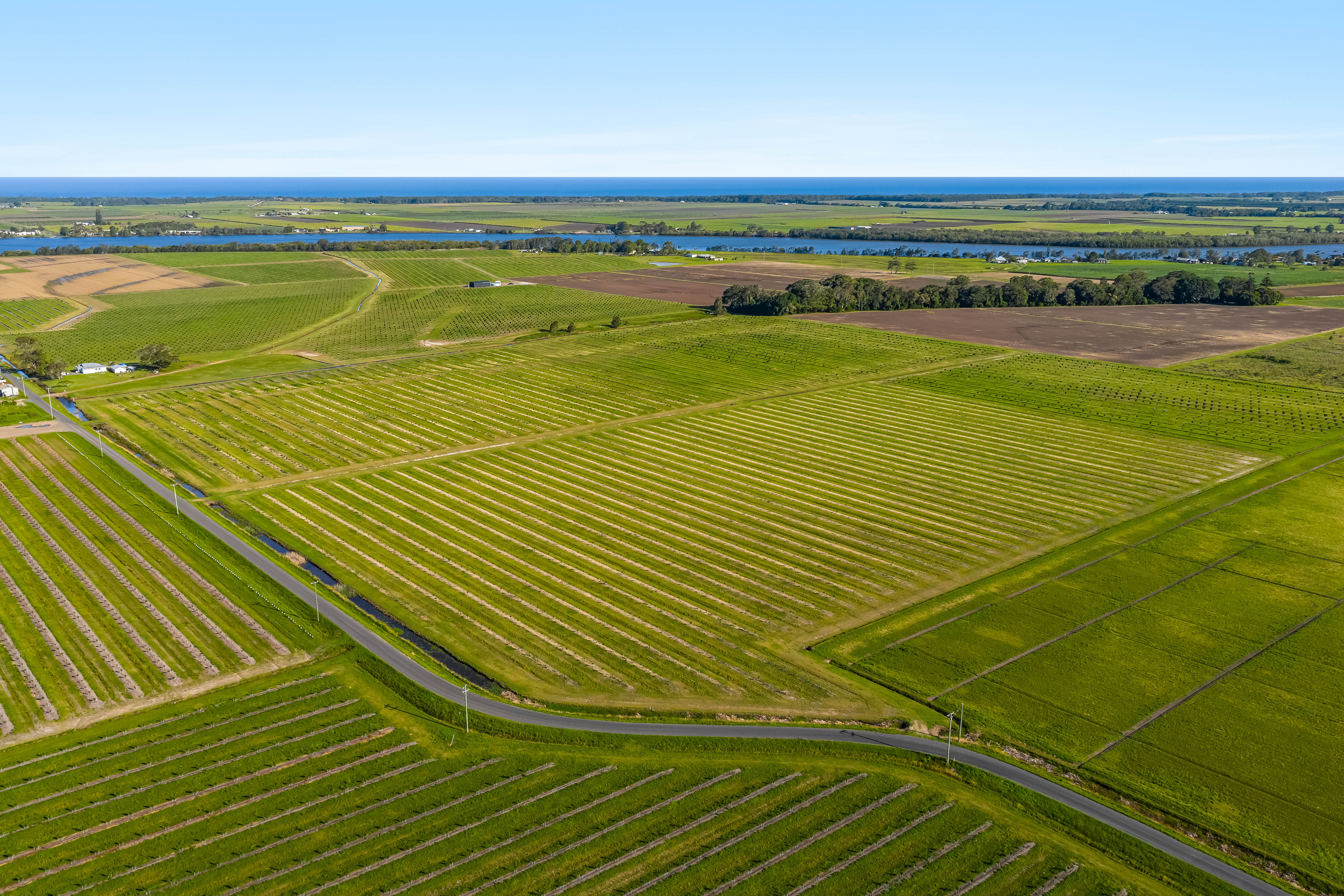 134 Hermans Lane, Pimlico For Sale by Farmbuy.com - image 9