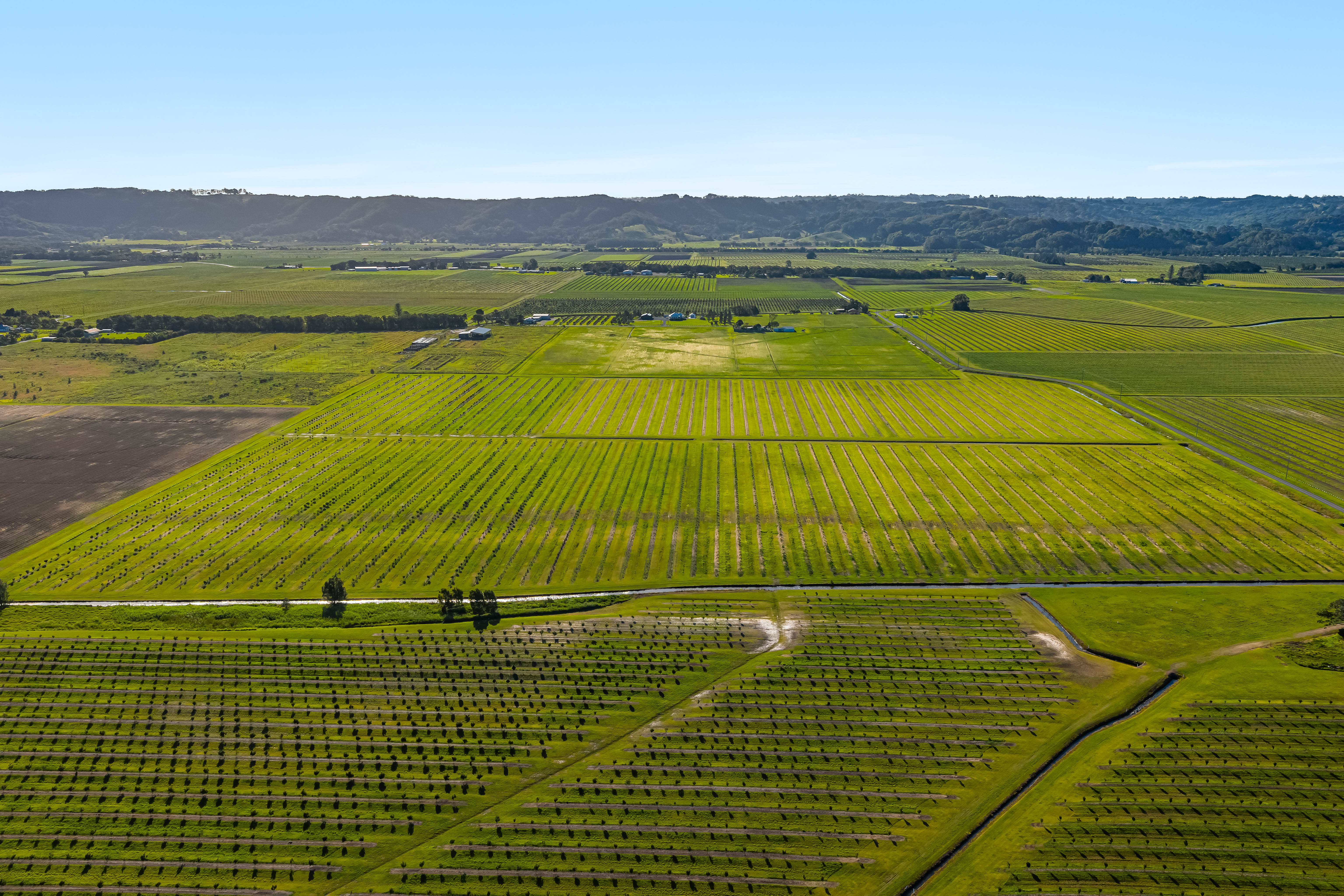 134 Hermans Lane, Pimlico For Sale by Farmbuy.com - image 10