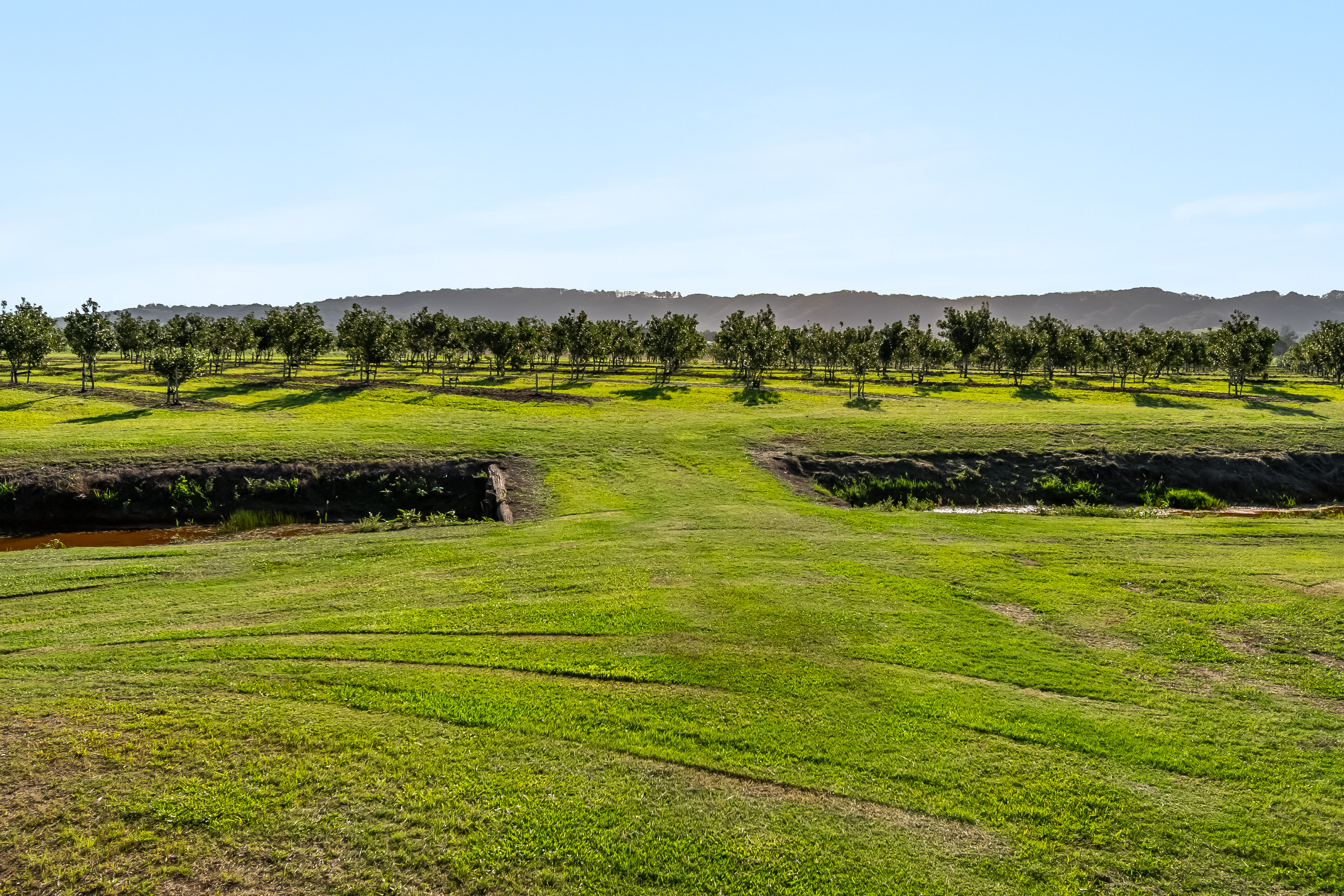 134 Hermans Lane, Pimlico For Sale by Farmbuy.com - image 14