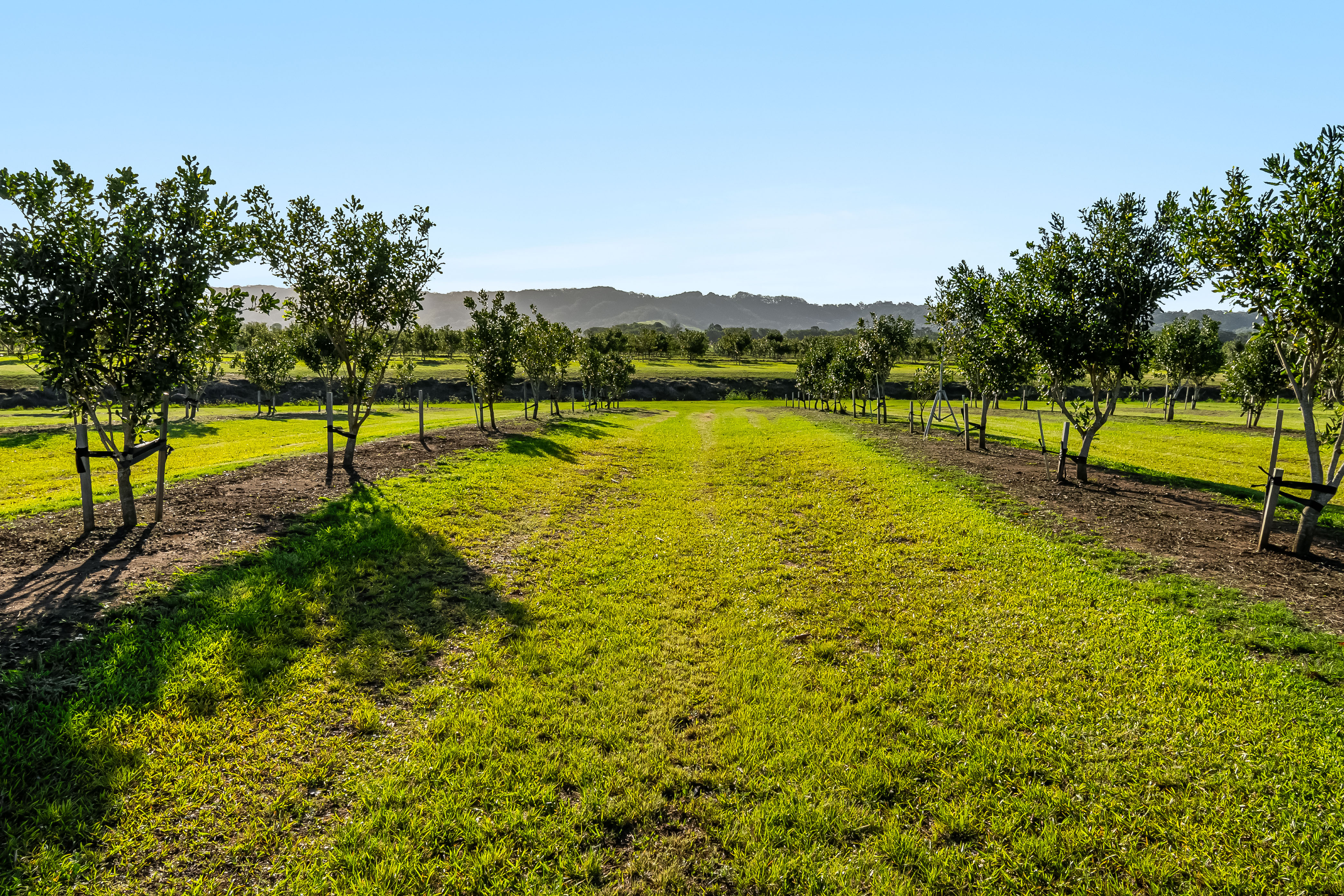 134 Hermans Lane, Pimlico For Sale by Farmbuy.com - image 15