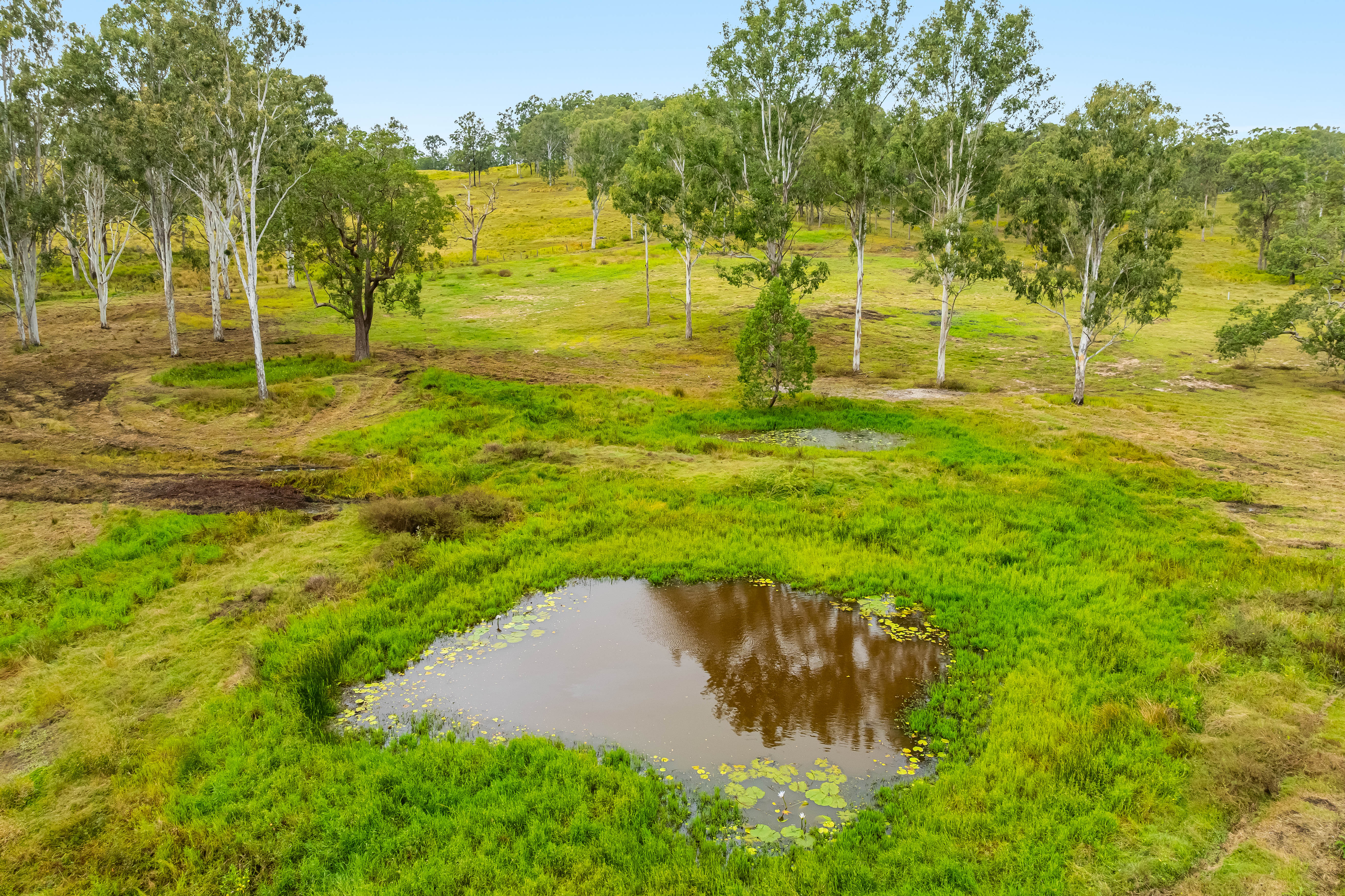 377 Pitches Road, Doubtful Creek For Sale by Farmbuy.com - image 23