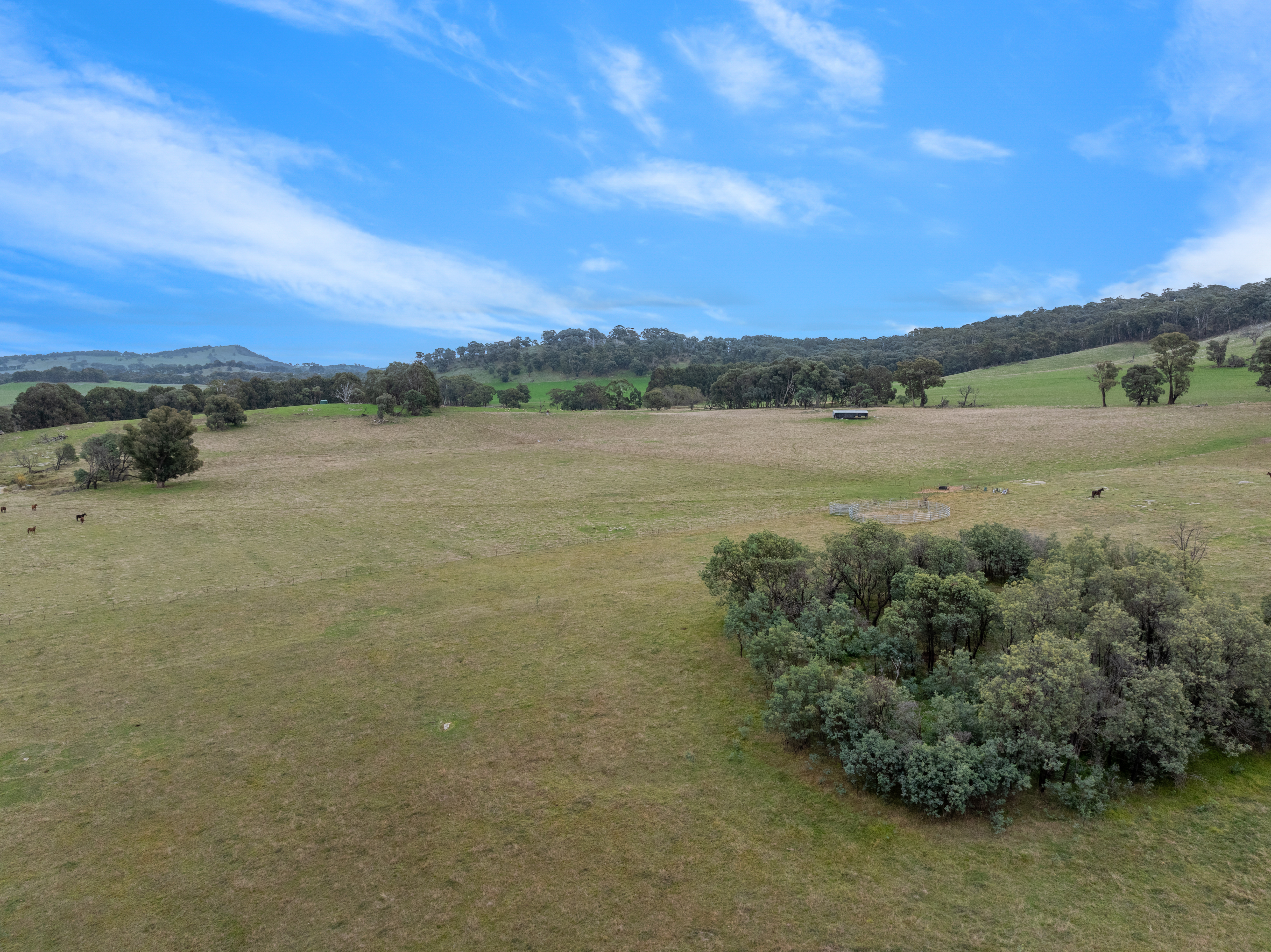 129 Jackas Lane, Kithbrook For Sale by Farmbuy.com - image 35