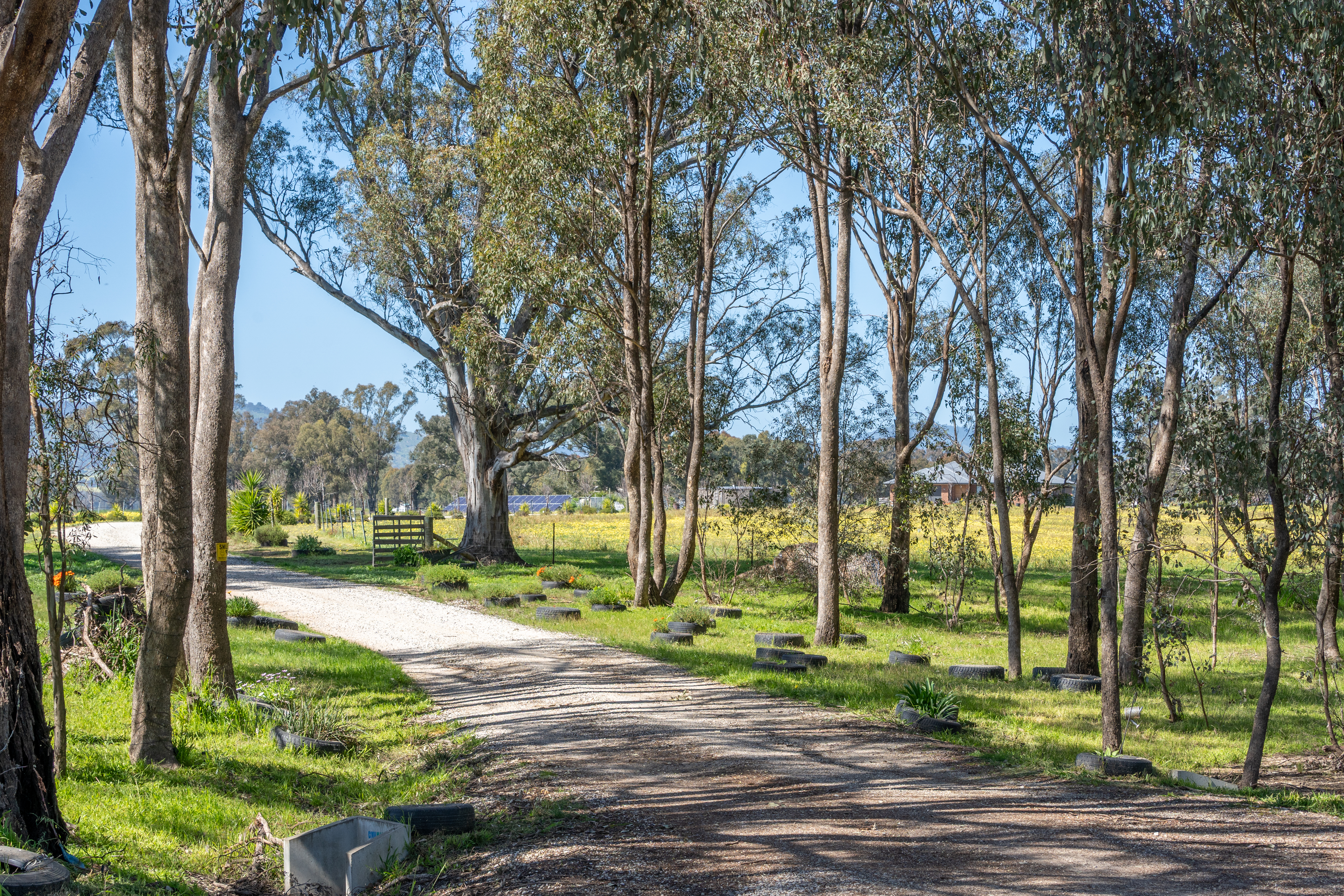 Farm For Sale - VIC - Balmattum - 3666 - EXPRESSIONS OF INTEREST 