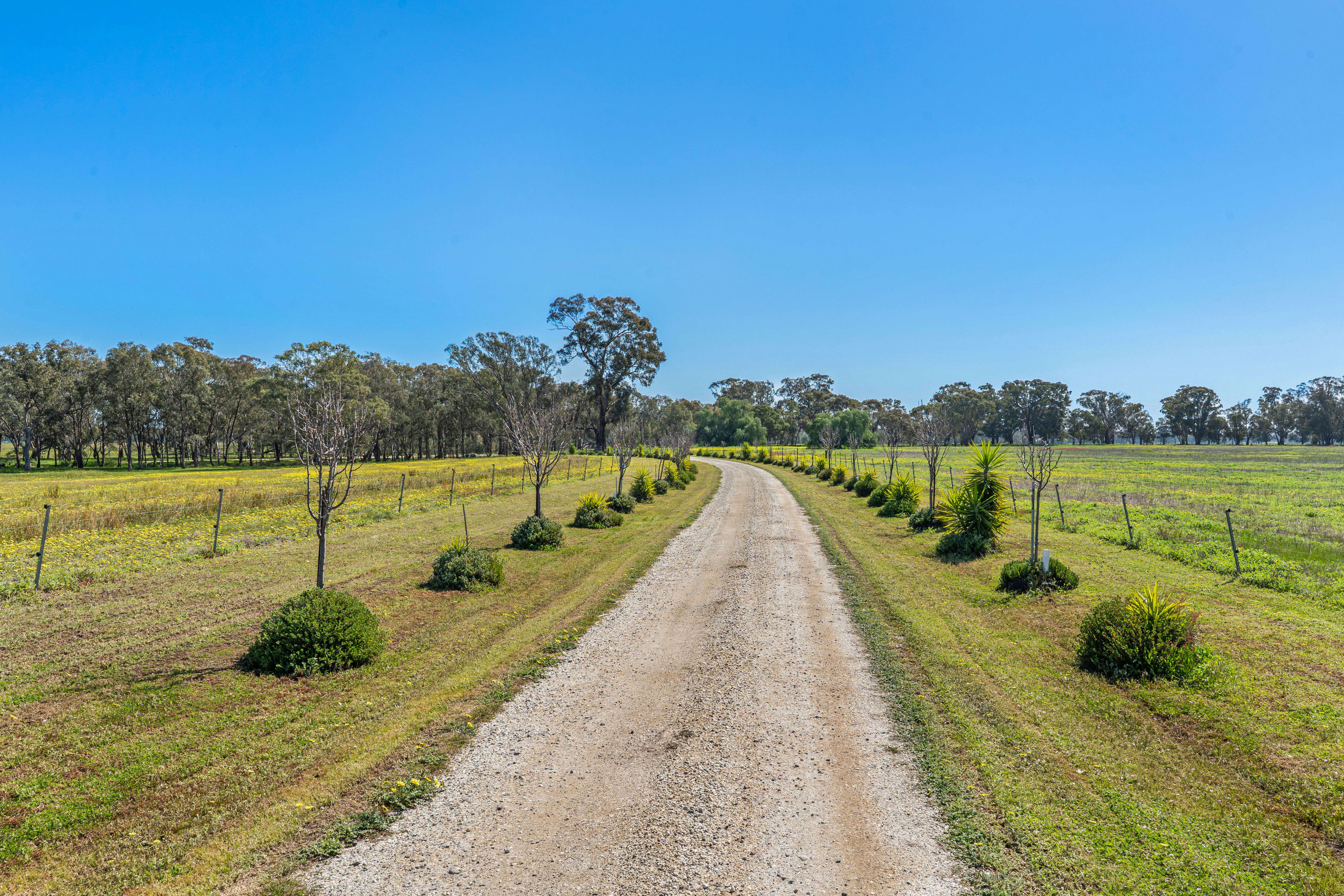 613 Old Euroa Road, Balmattum For Sale by Farmbuy.com - image 6