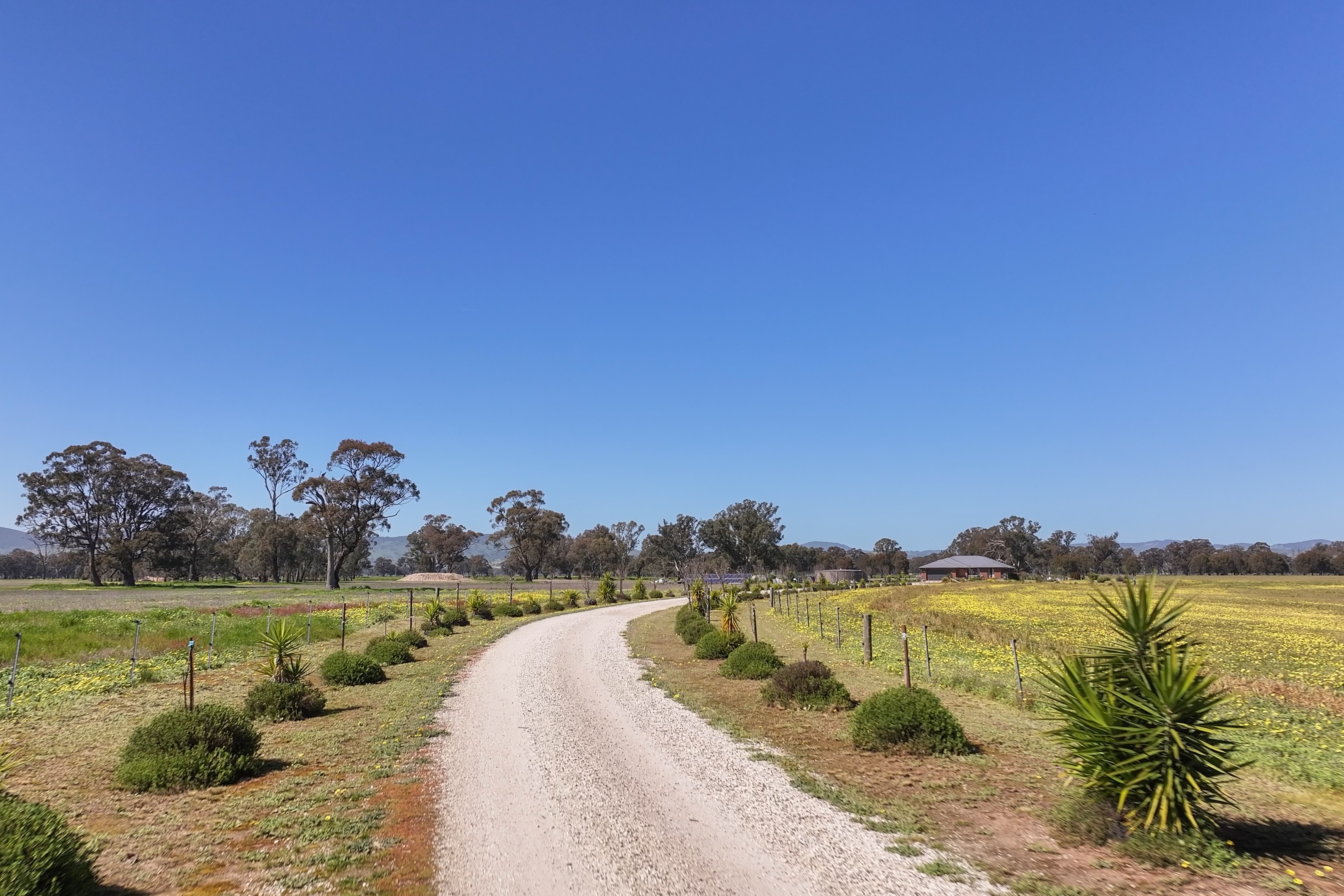 613 Old Euroa Road, Balmattum For Sale by Farmbuy.com - image 7