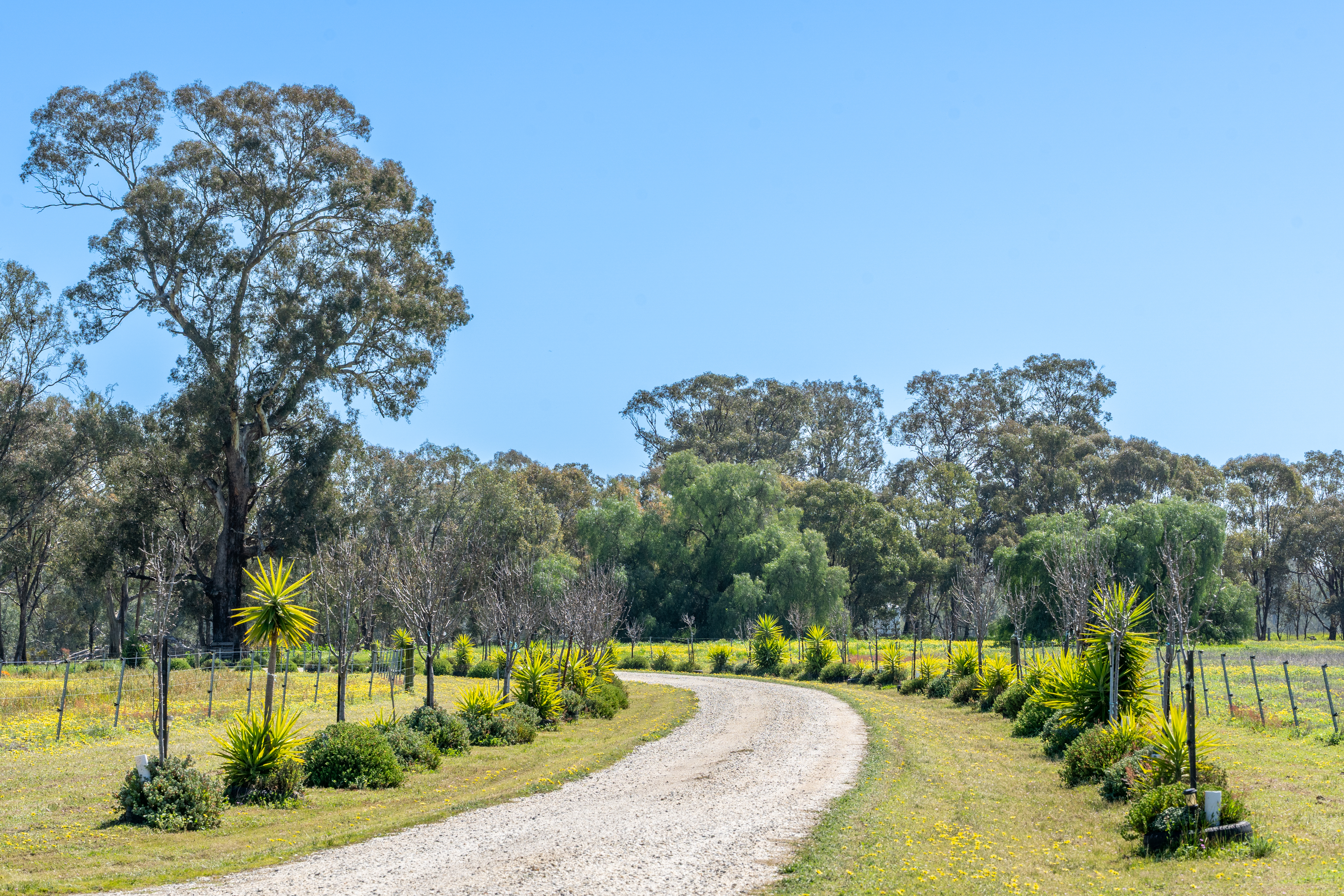 613 Old Euroa Road, Balmattum For Sale by Farmbuy.com - image 14