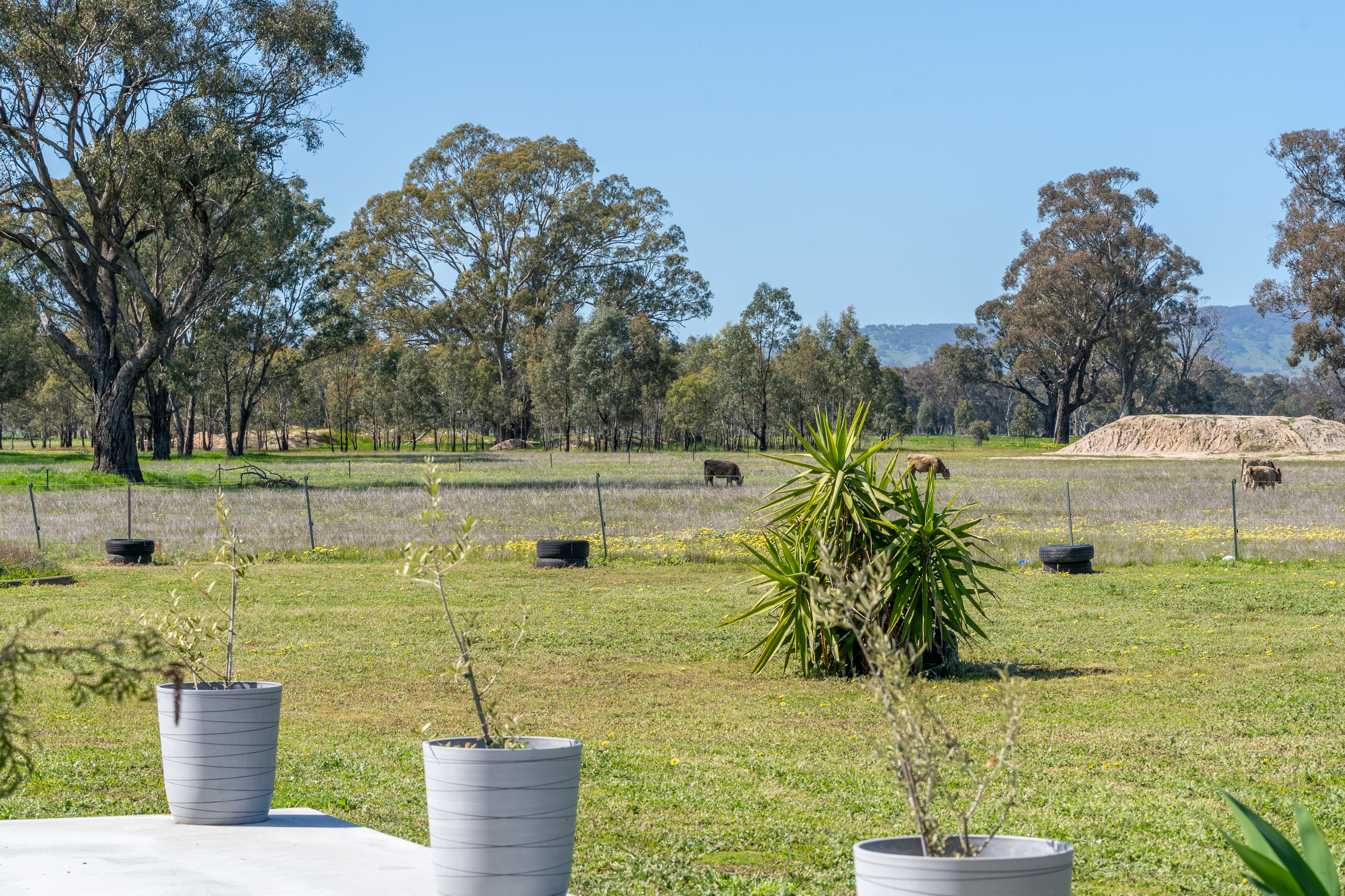 613 Old Euroa Road, Balmattum For Sale by Farmbuy.com - image 15