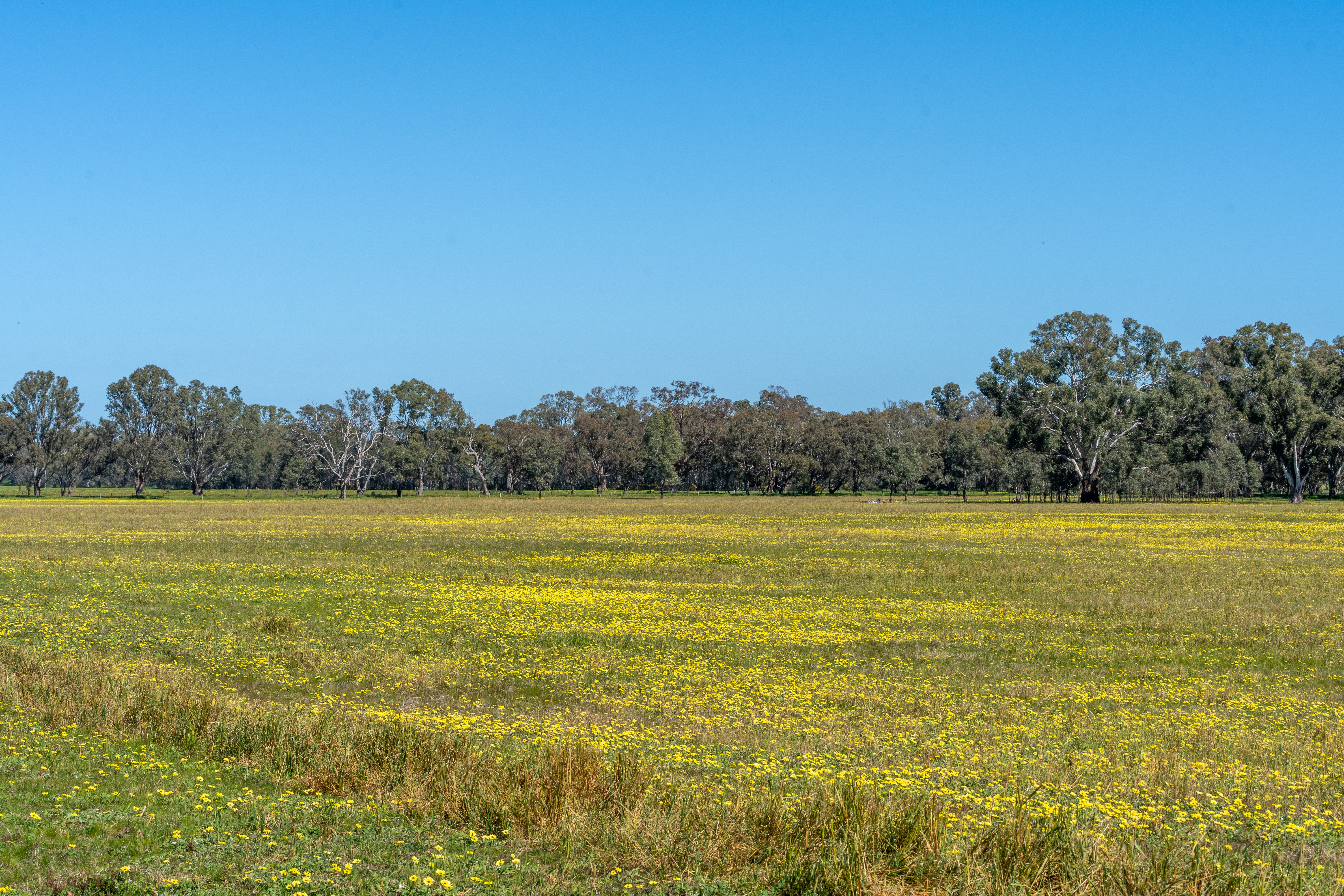 613 Old Euroa Road, Balmattum For Sale by Farmbuy.com - image 31